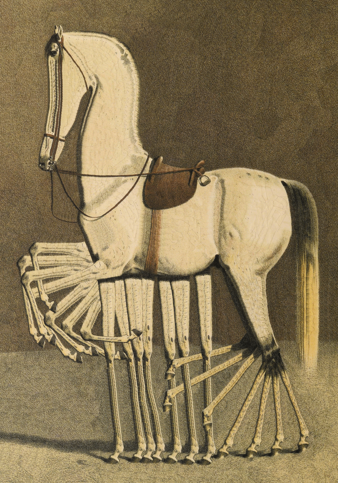 Twigs after Volkers, 2023, 11.6 x 16.5 inches