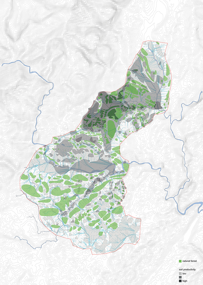 water run-off + existing vegetation + soil productivity