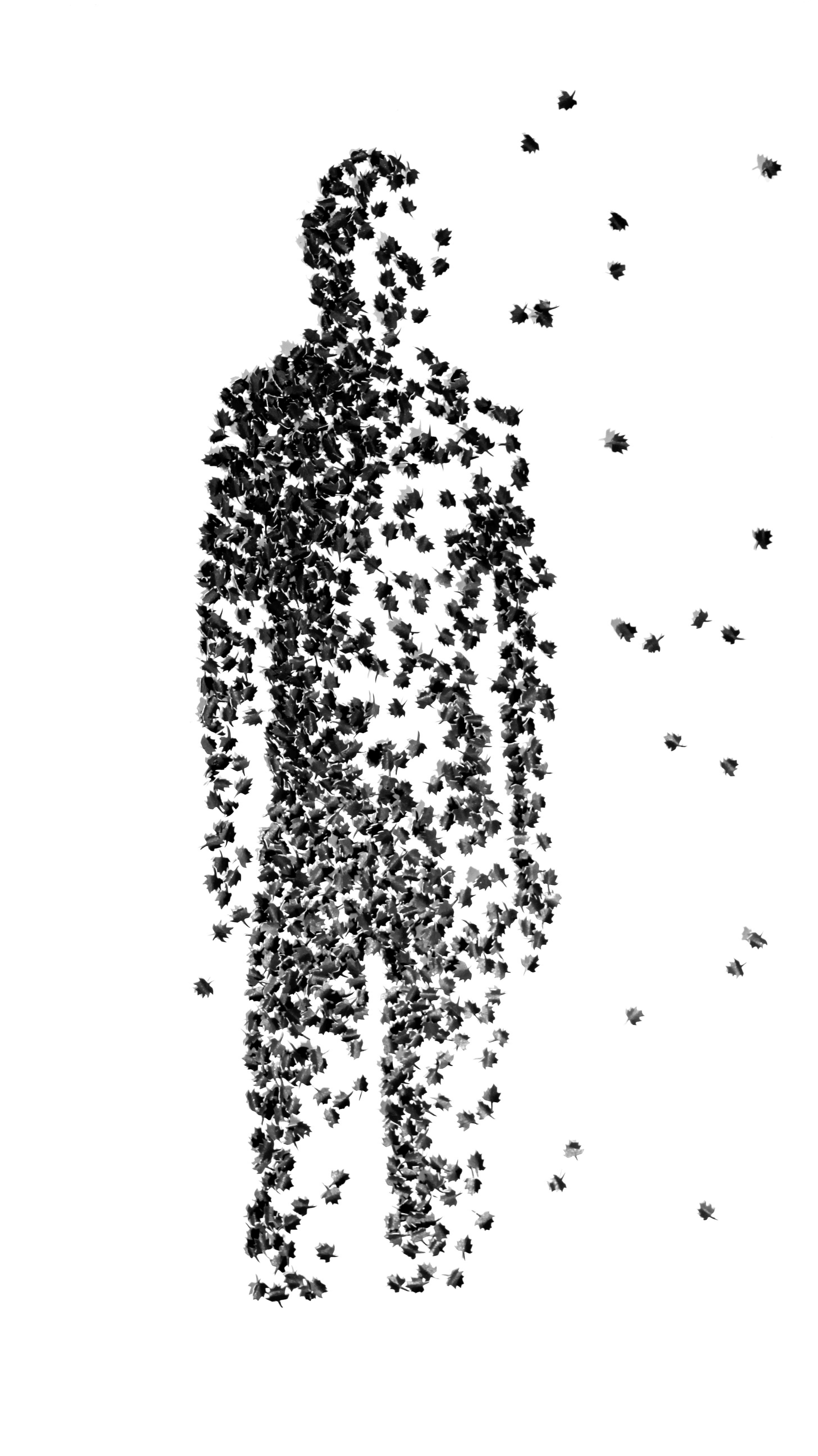 The Comfort of Knowledge II