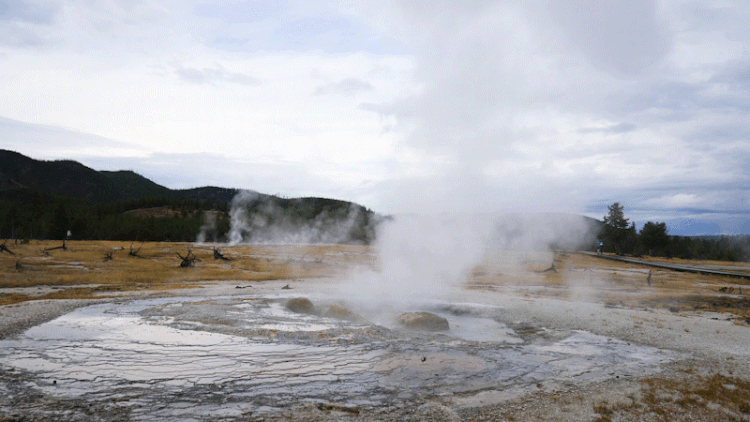 Yellow Stone National Park, USA, 2017