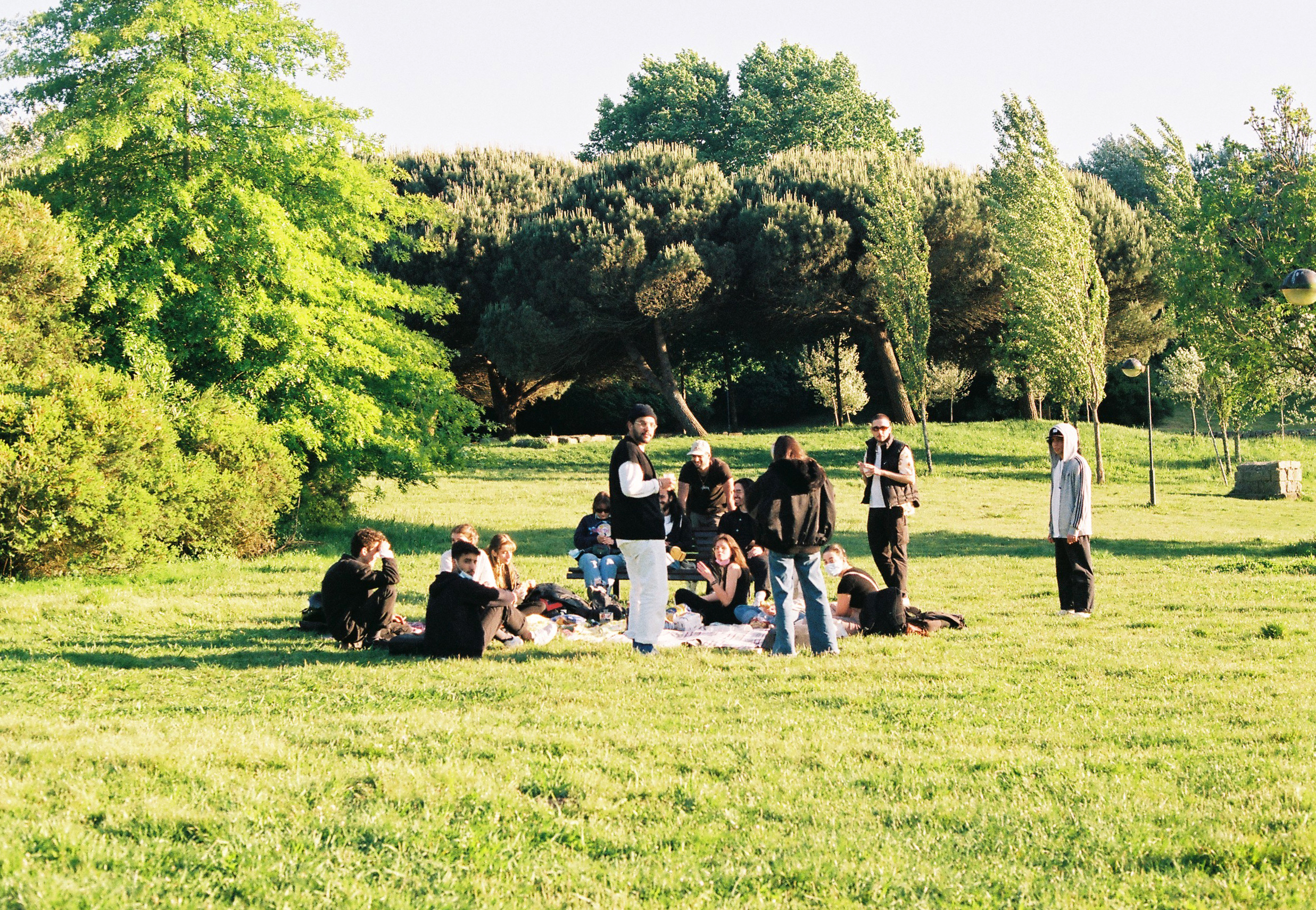 Parque da Cidade, Porto Portugal, 2021, Canon FTb, Kodak Film