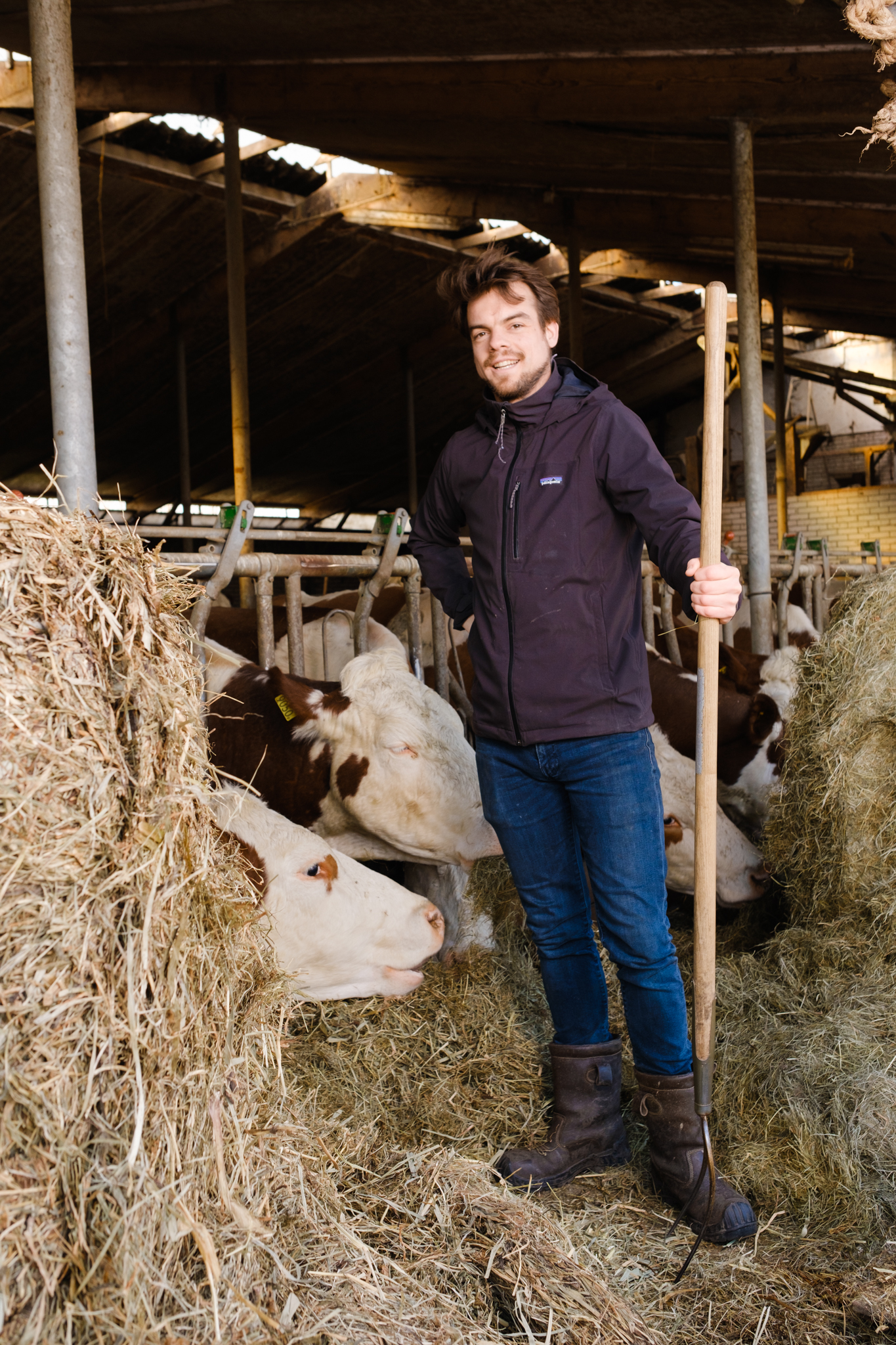 We Are The Regeneration