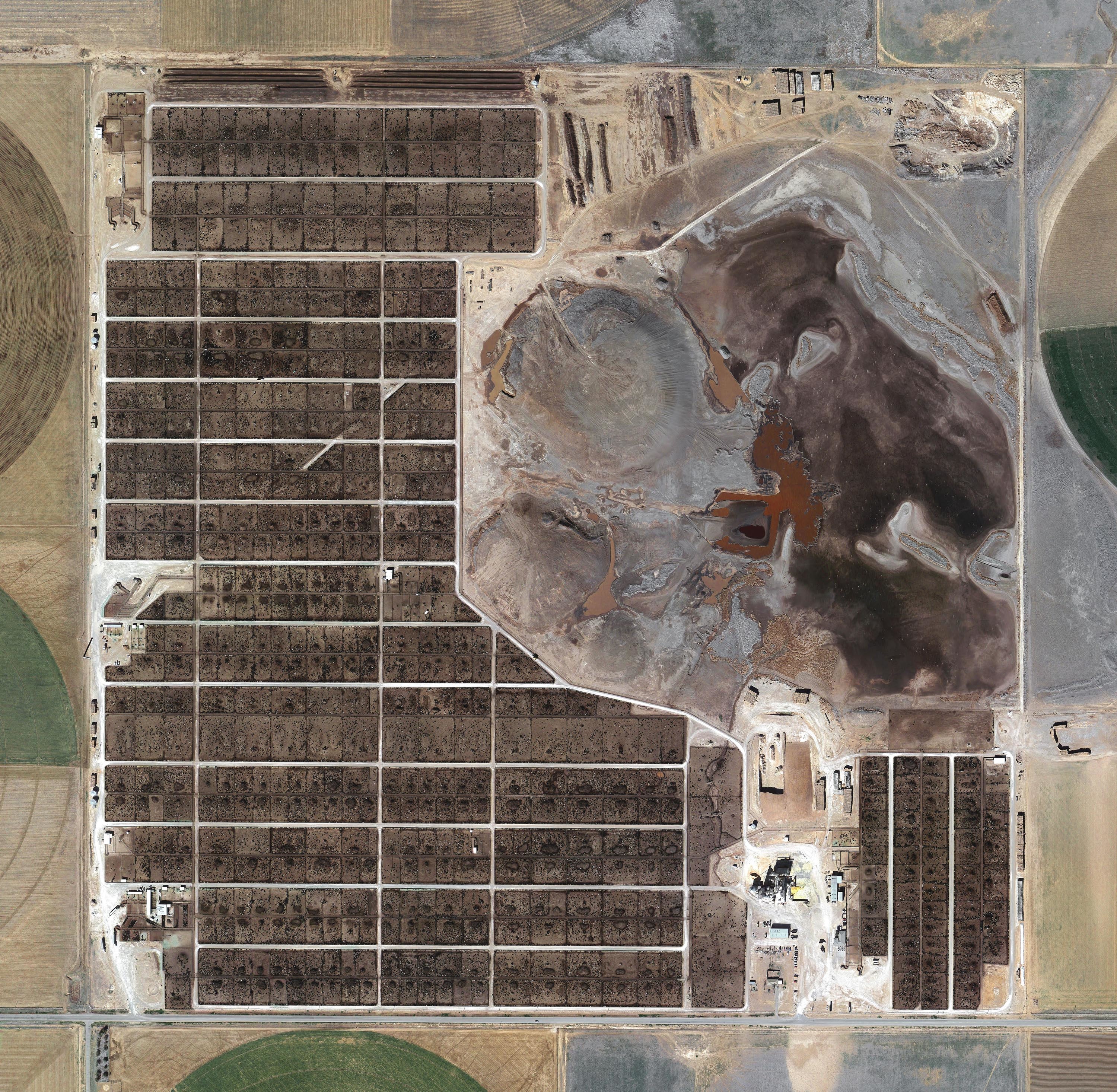 Randall County Feedyard, Amarillo, Texas
