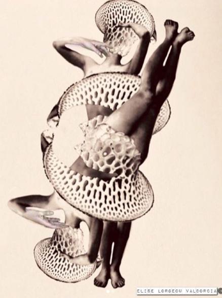 Elise Valdorcia Lorgeou