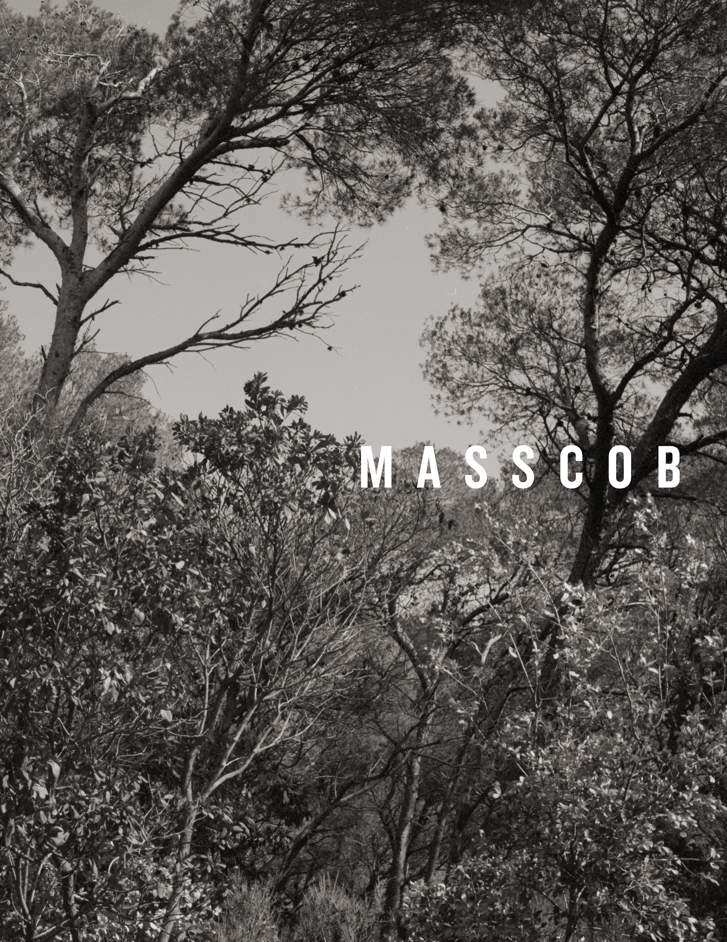 Masscob. (4/4)