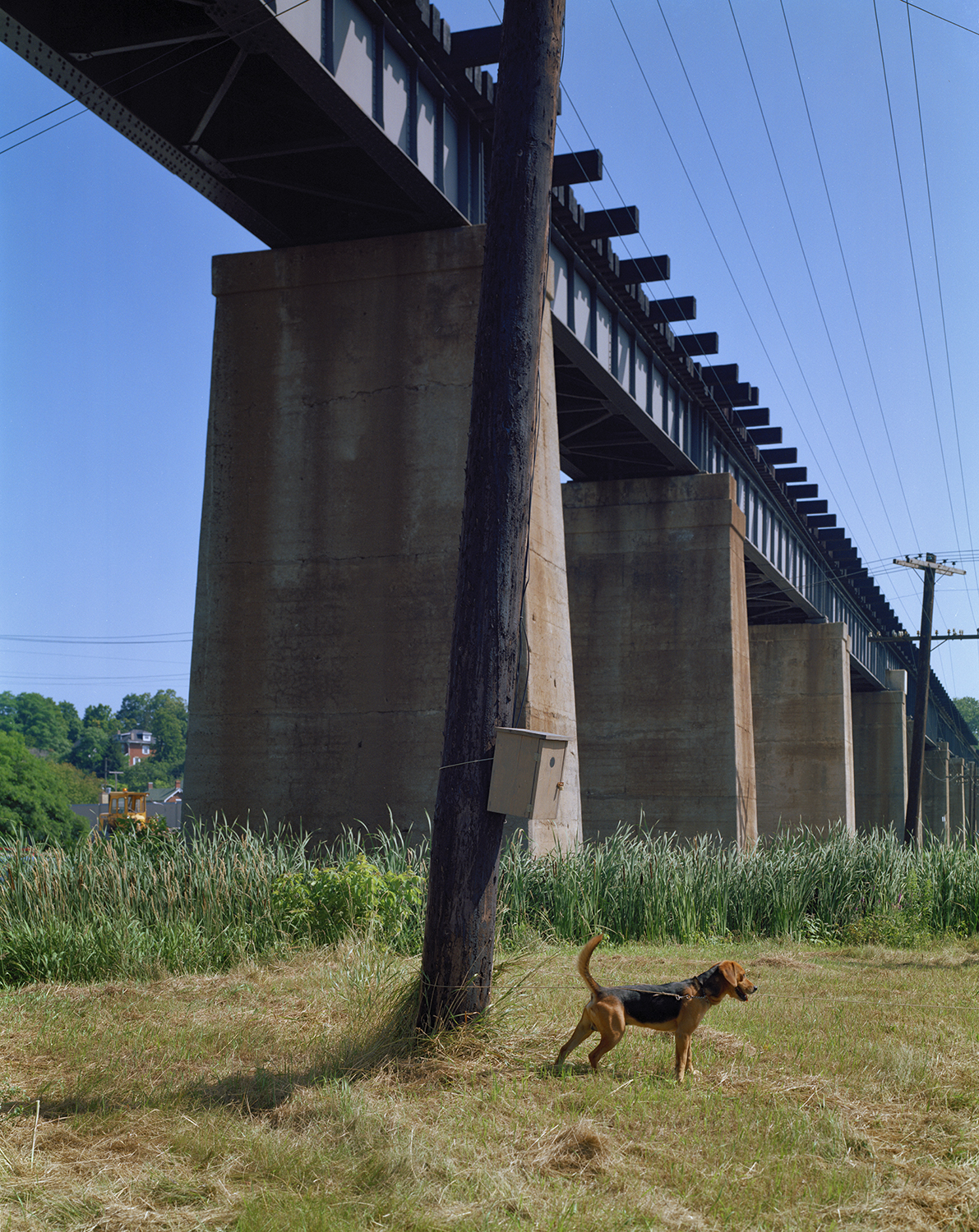 Bird House-Radon Detector, CN/CP Viaduct Area, Port Hope, 1992