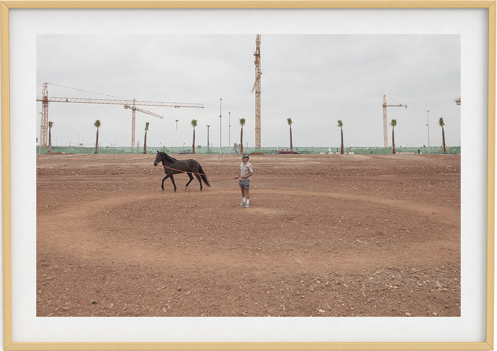 Fotograf&iacute;a impresa criadores de caballo periferia Sevilla