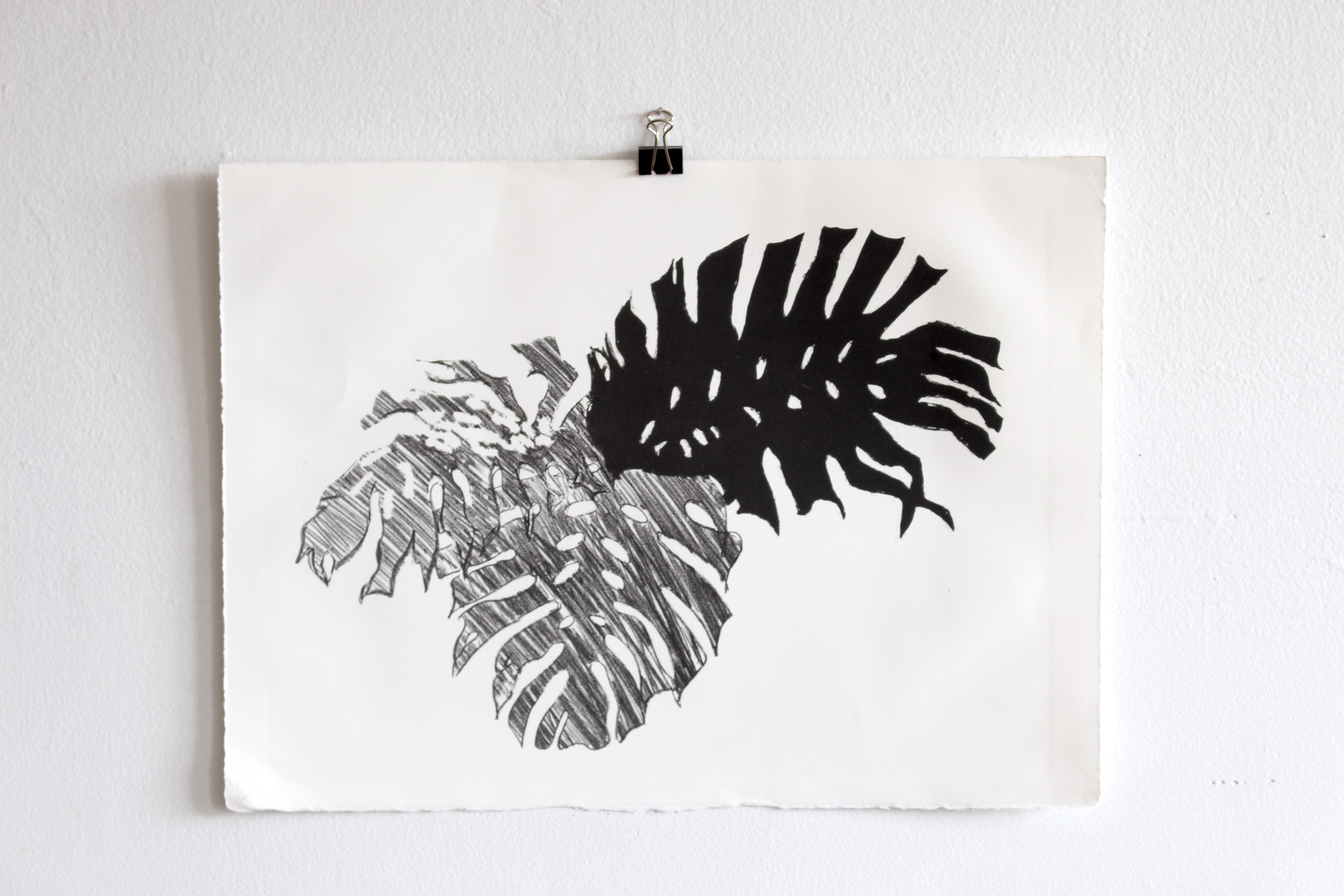 "monstera" (2017) lithograph. 10x14".