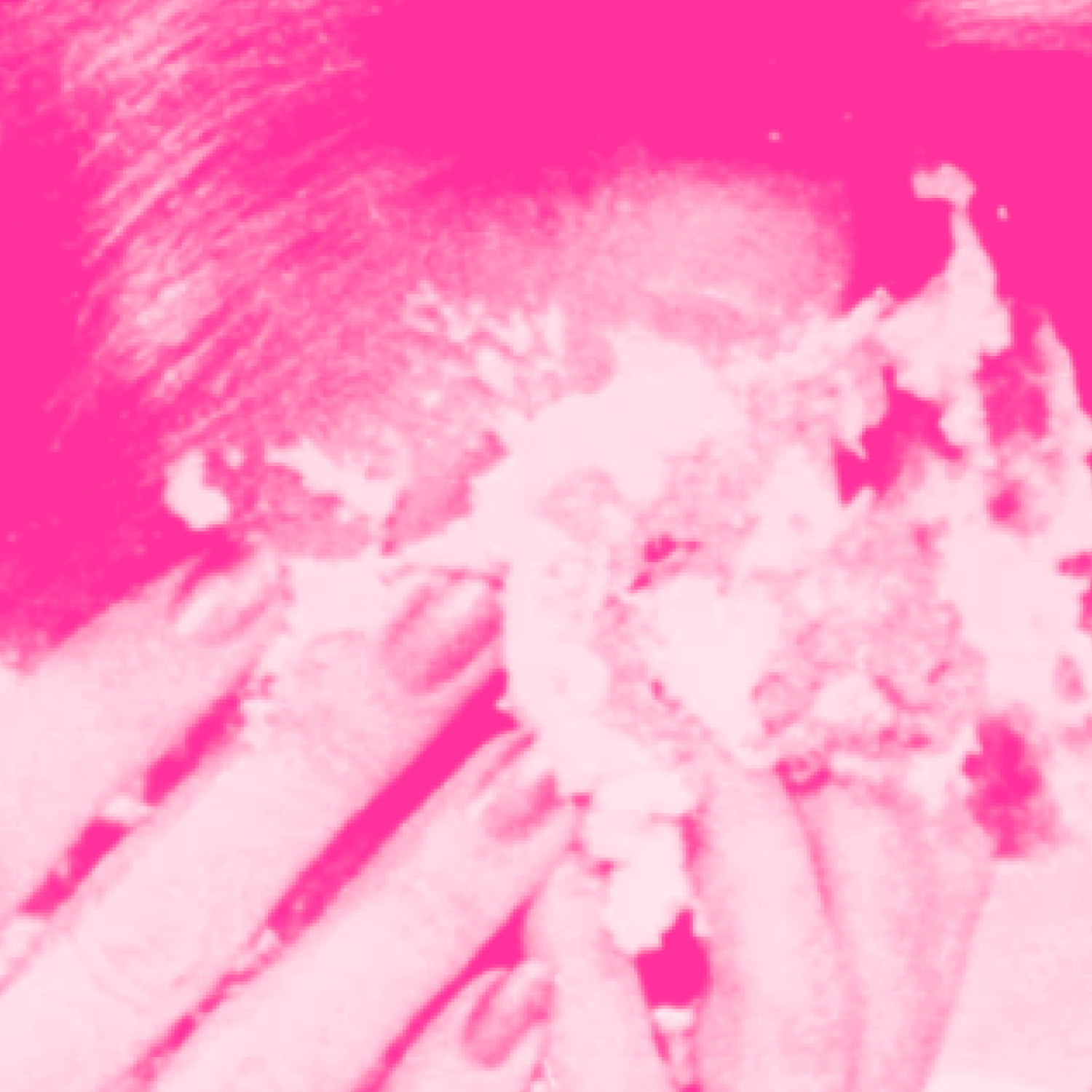 A closely cropped magenta-toned image of Anita Bryant’s face covered in pie. She holds her hands to her face, her long manicured nails contrasting with the whipped cream of the pie.