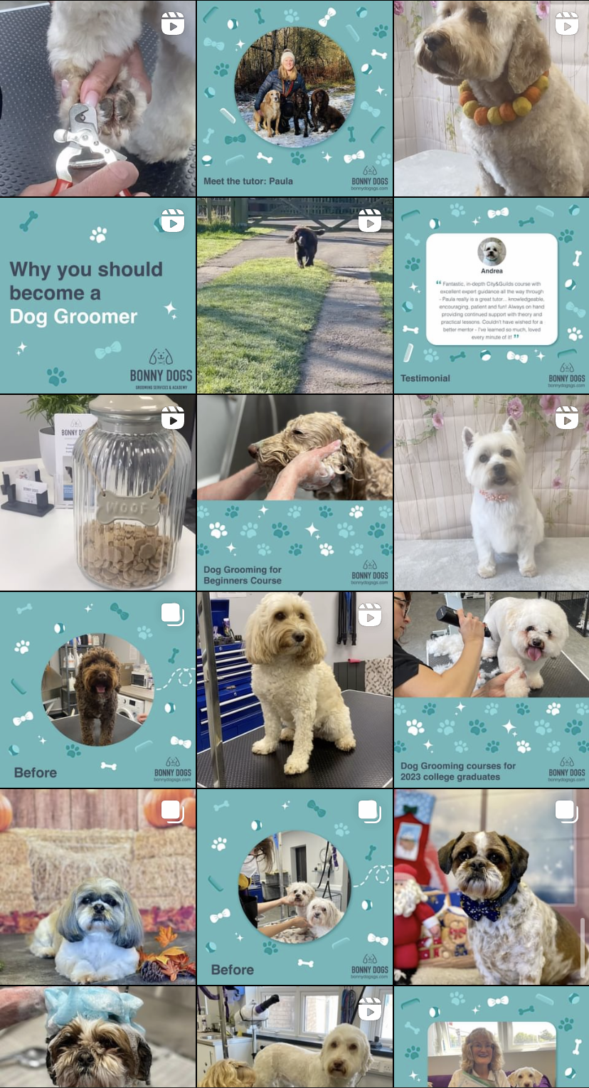 Screenshot of Bonny Dogs Grooming Academy Instagram page, showing branded template posts, reels and photographs