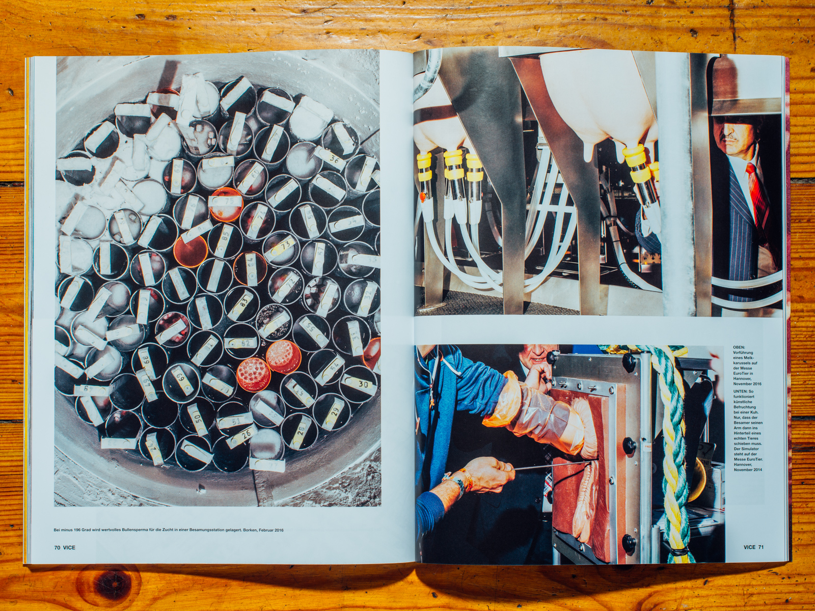 VICE / Hornless Heritage Serie als Coverstory, Juli 2017