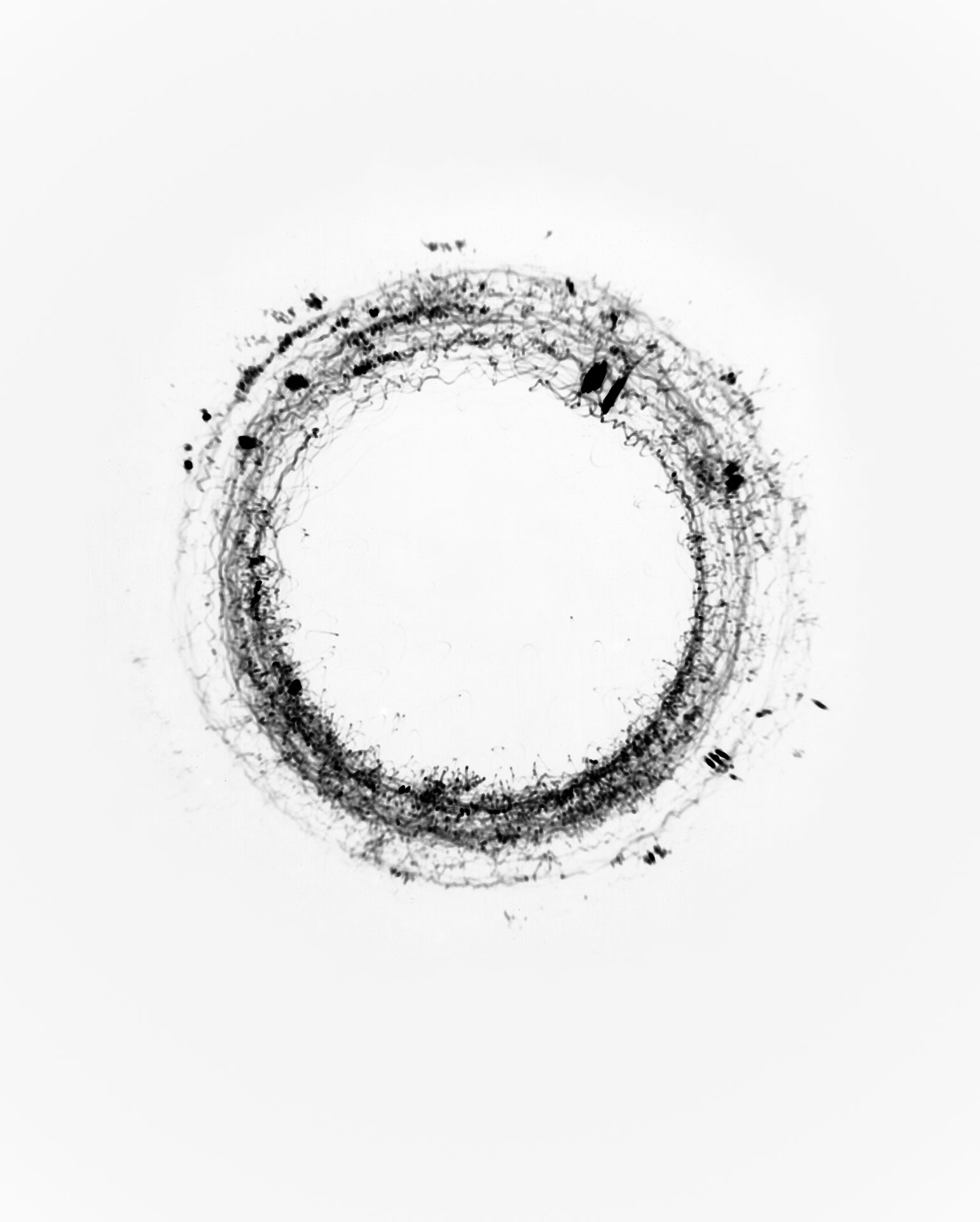 1. 8. 2017, 14:50–16:50, Reisedistanz 8 km