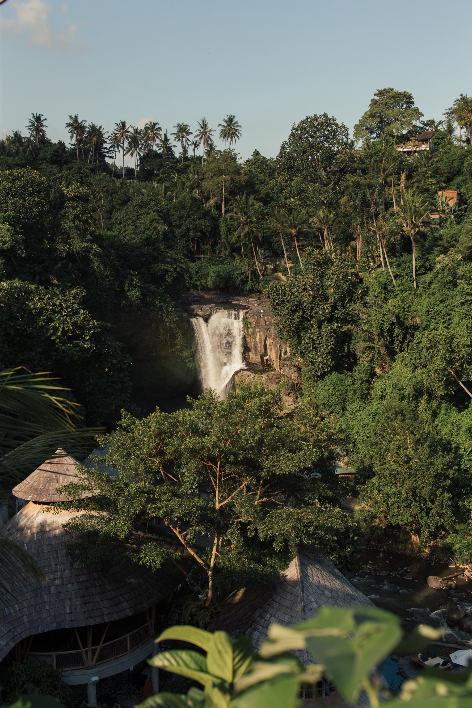 Ubud Moment – Delicious Australia