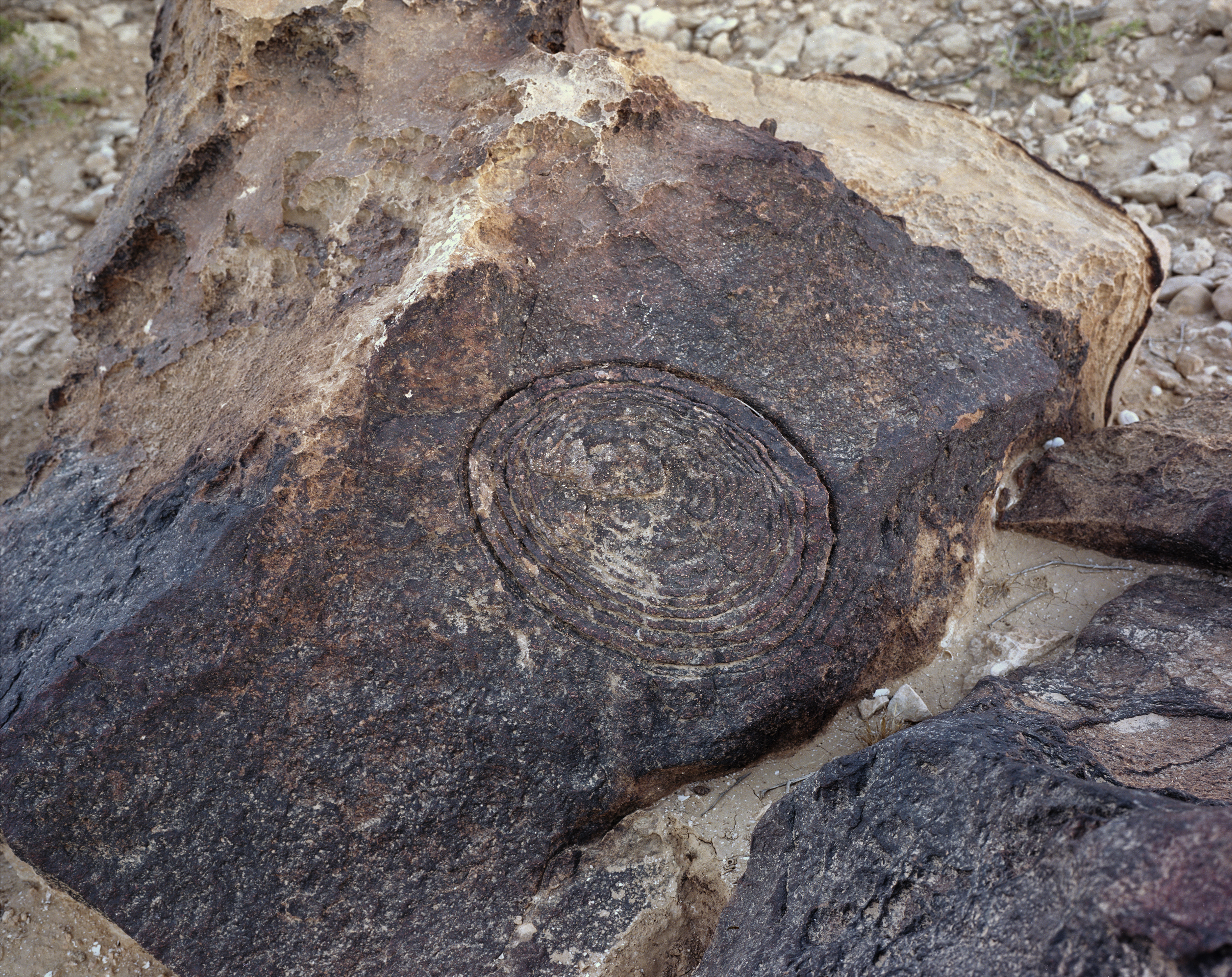Rock Petroglyphs, 2017, archival pigment print, 60x72 cm