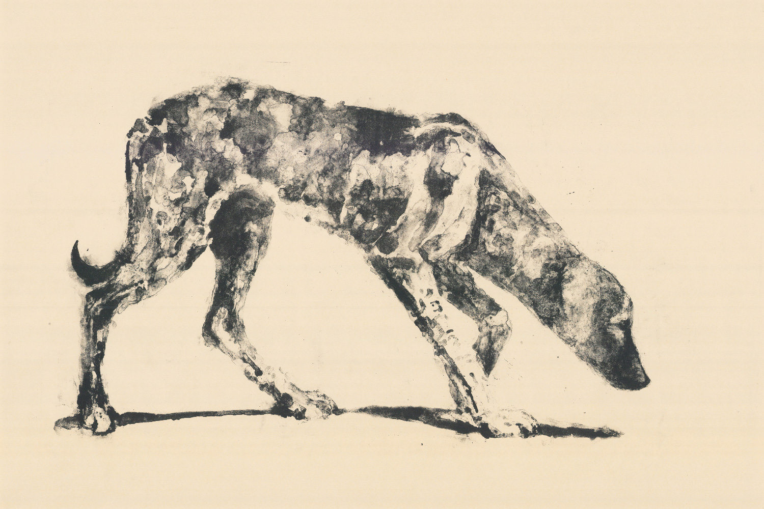 Dog III. Lithohgraph. 70 x 100 cm.