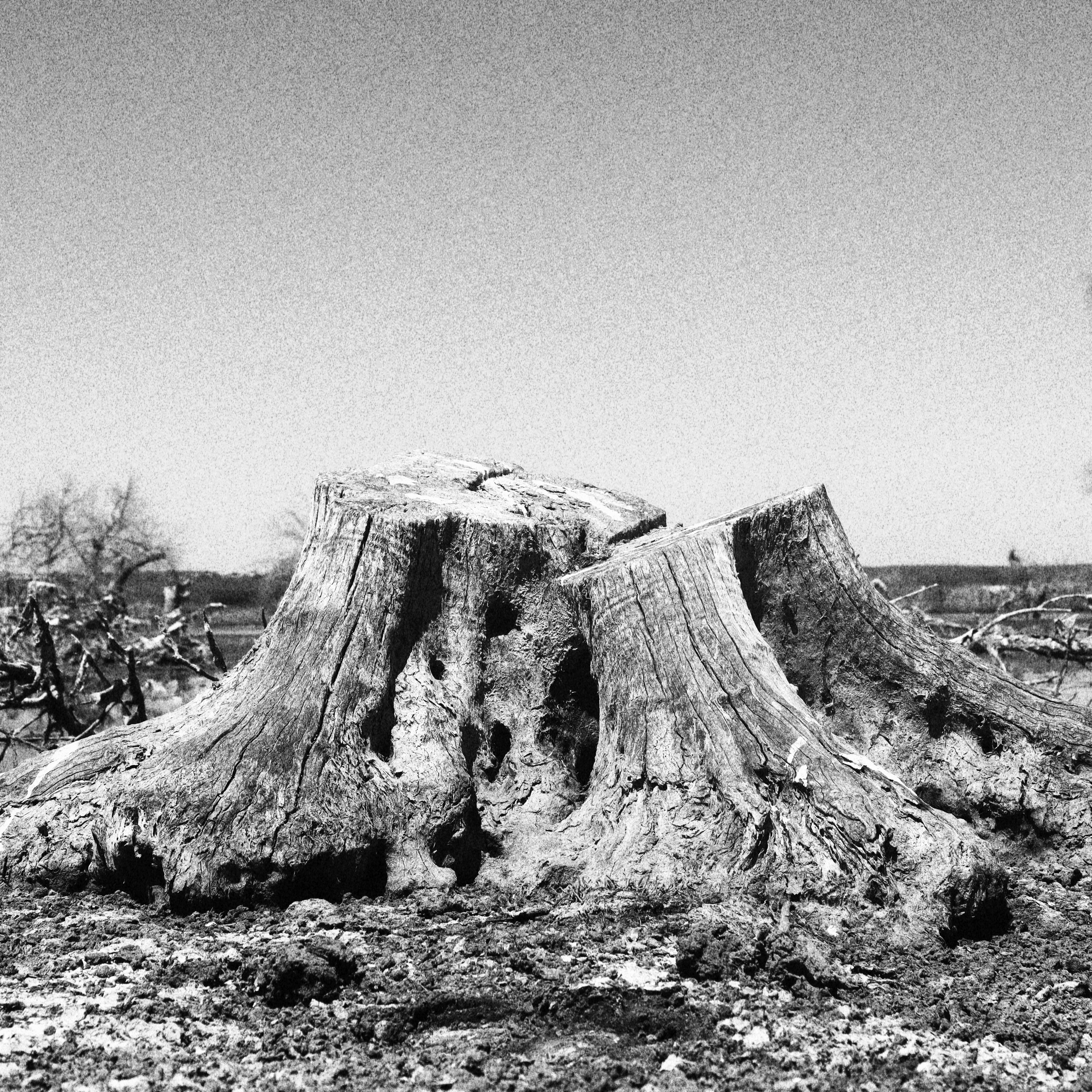 Resumption, 110x110cm, 2022