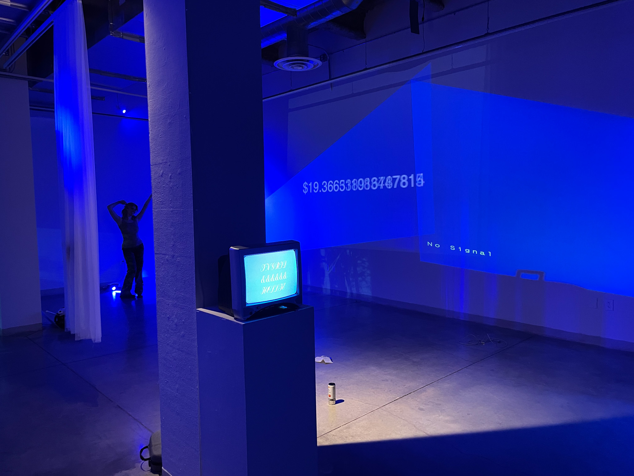 Lucid~~~ Exhibition Collaboration in Gallery 148/// MPLS ✨ 