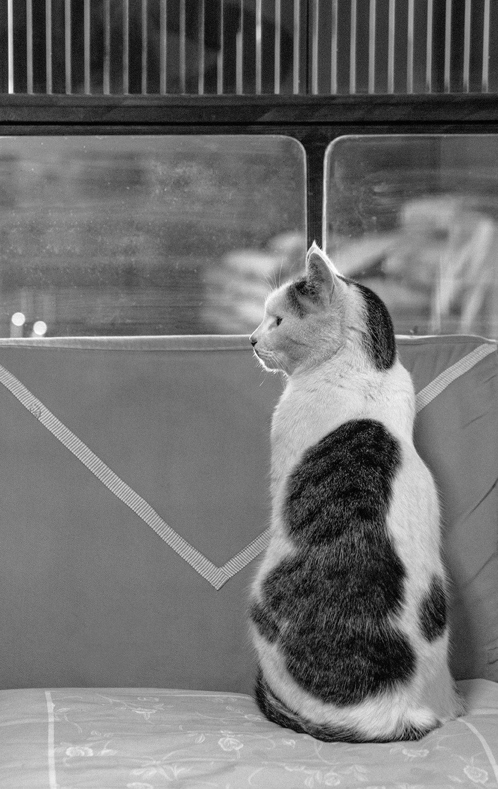 PHOTOGRAPHY RAF STUDIO for FU KYOTO VILLA KUJOYAMA