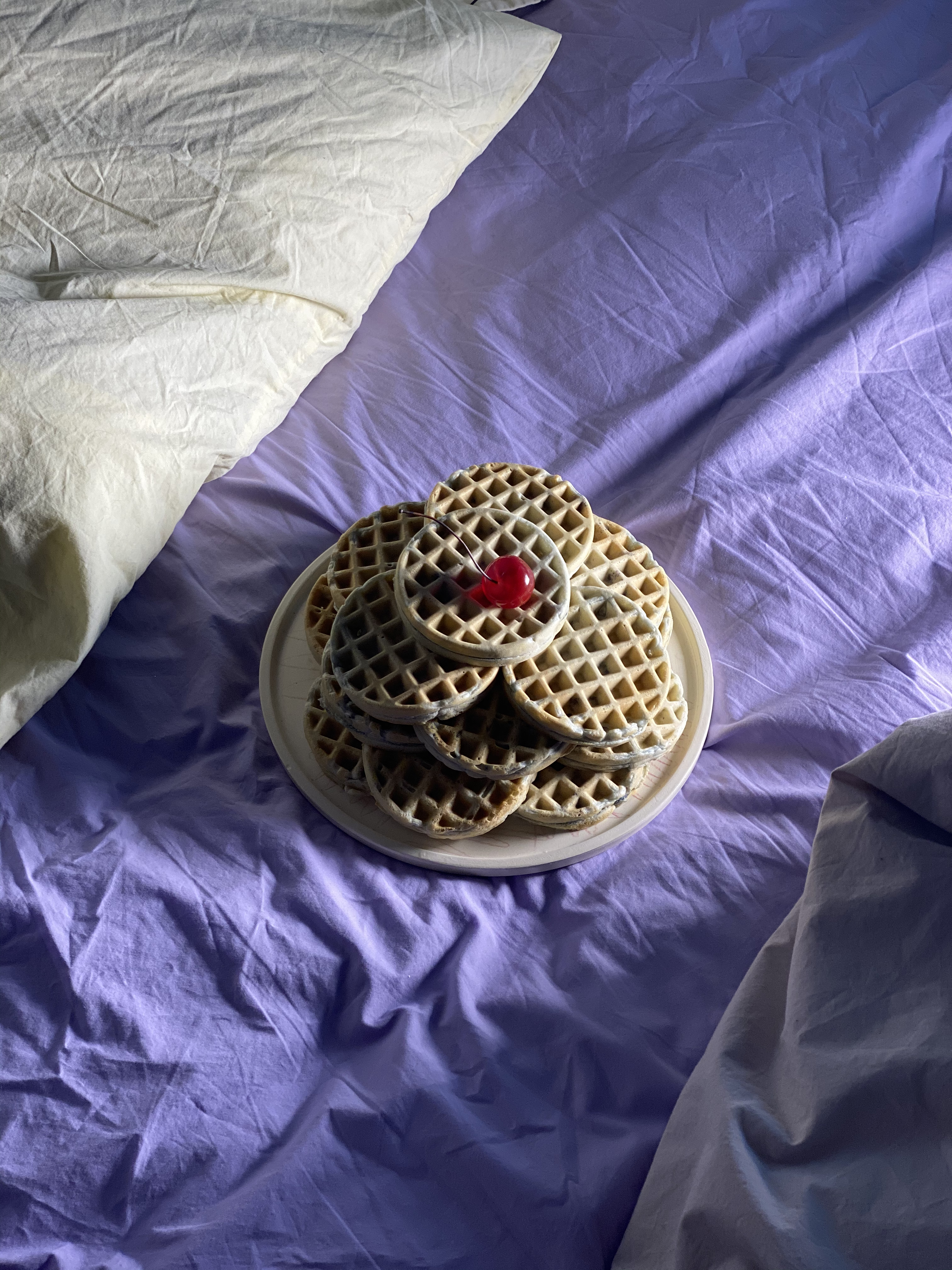 Homemade Blueberry Waffles