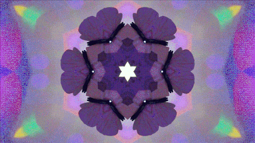 DRUNK TANGO, moving images, 2021