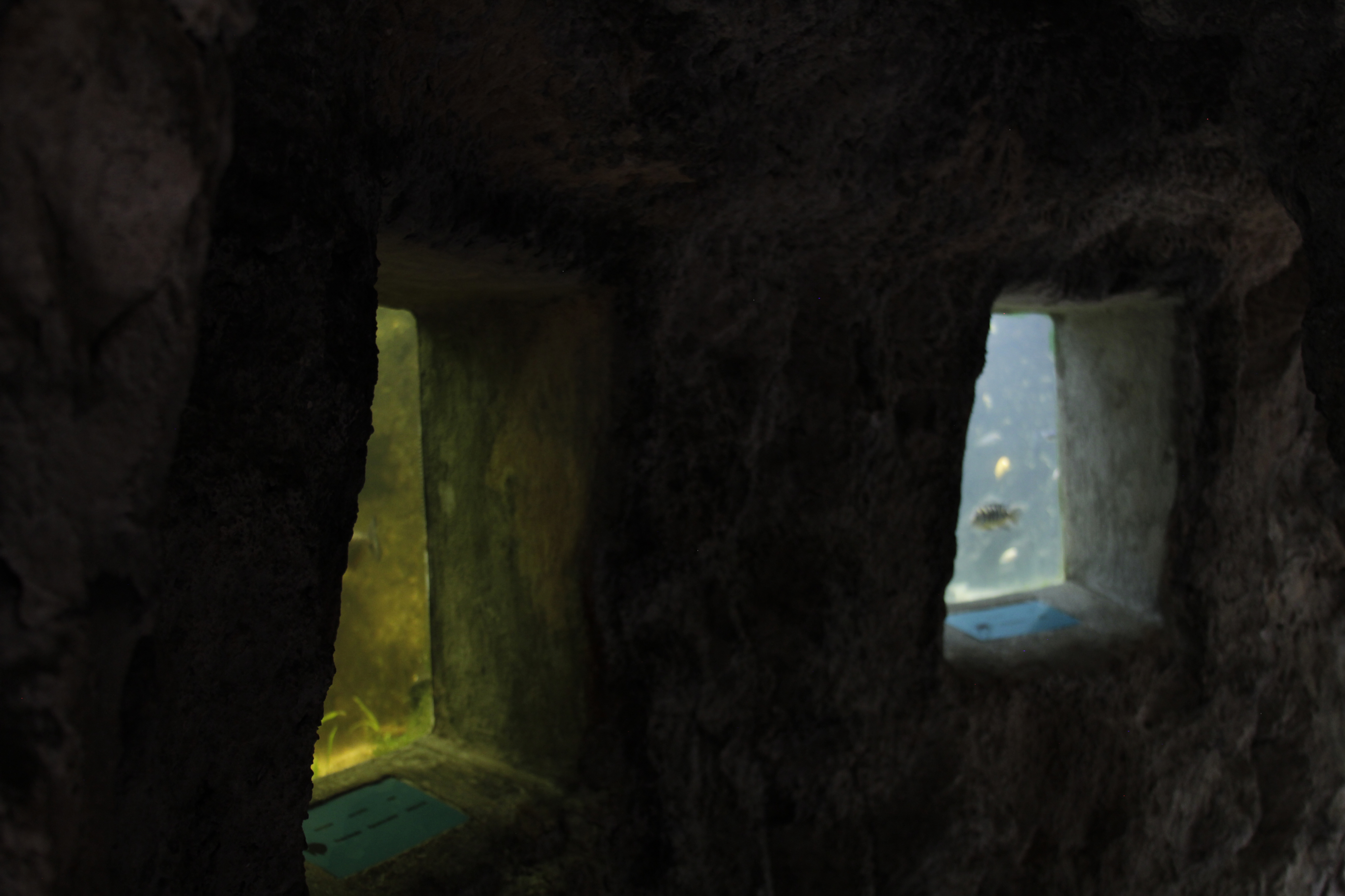 Exhibition View - Parque Lage - Rio de Janeiro, Brazil, 2015