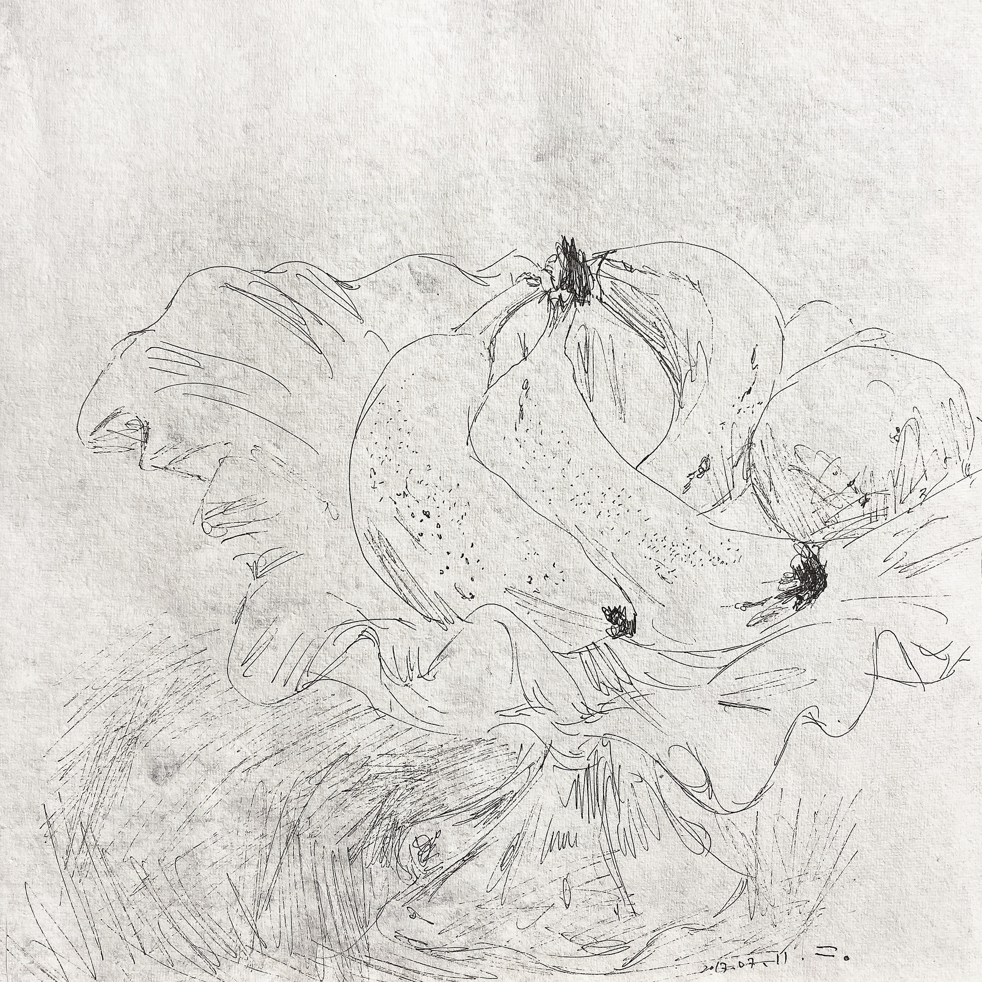 식탁위의 바나나, 2017, pen on paper, 21*21(cm)