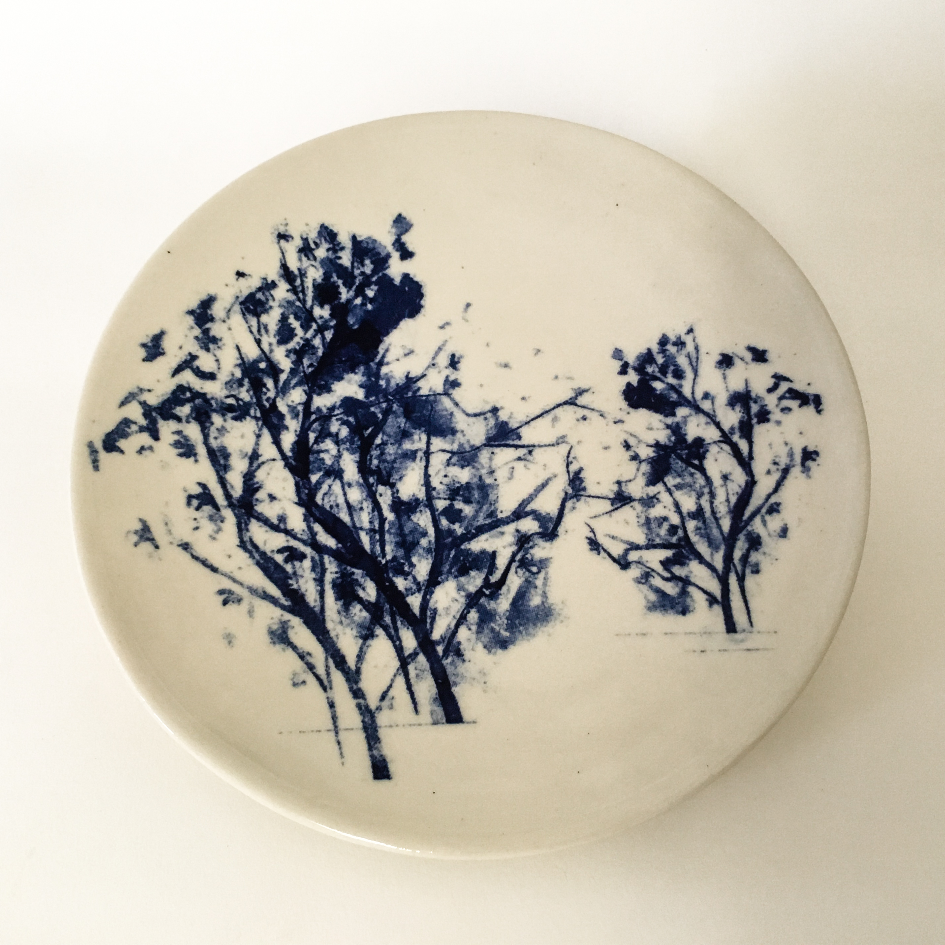 Salad Plates: Stoneware, Ceramic, Glass