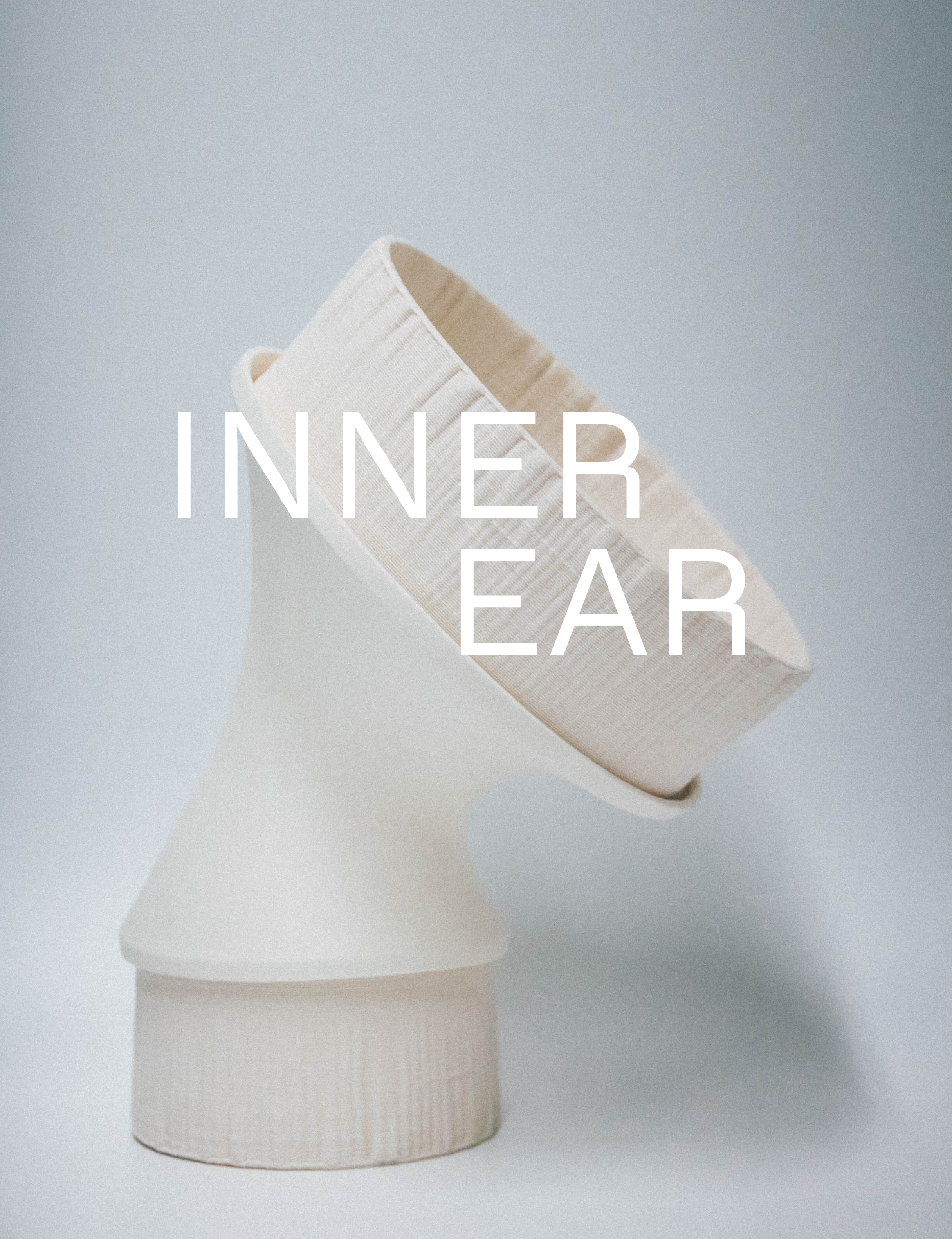 Inner Ear — Visual System