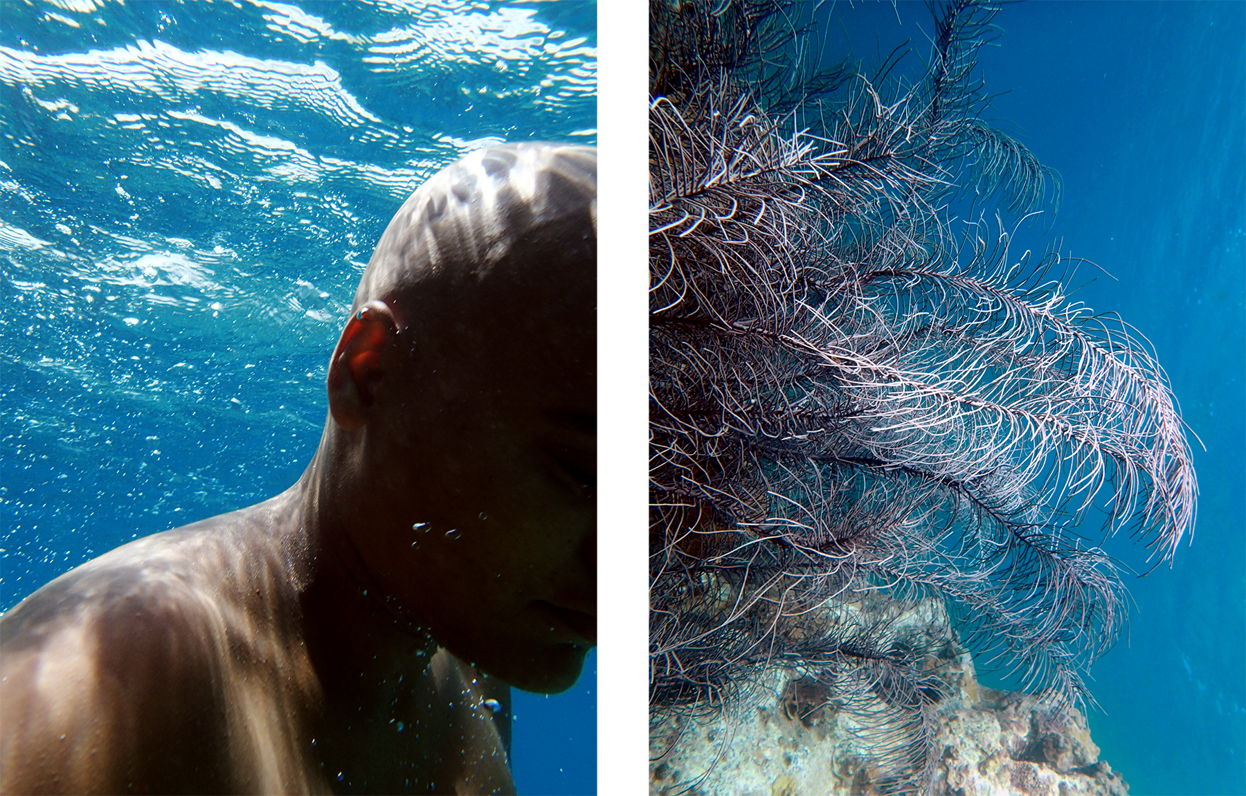 Transformations No. 6. Digital Photograph. 30"x 46.5". 2016.