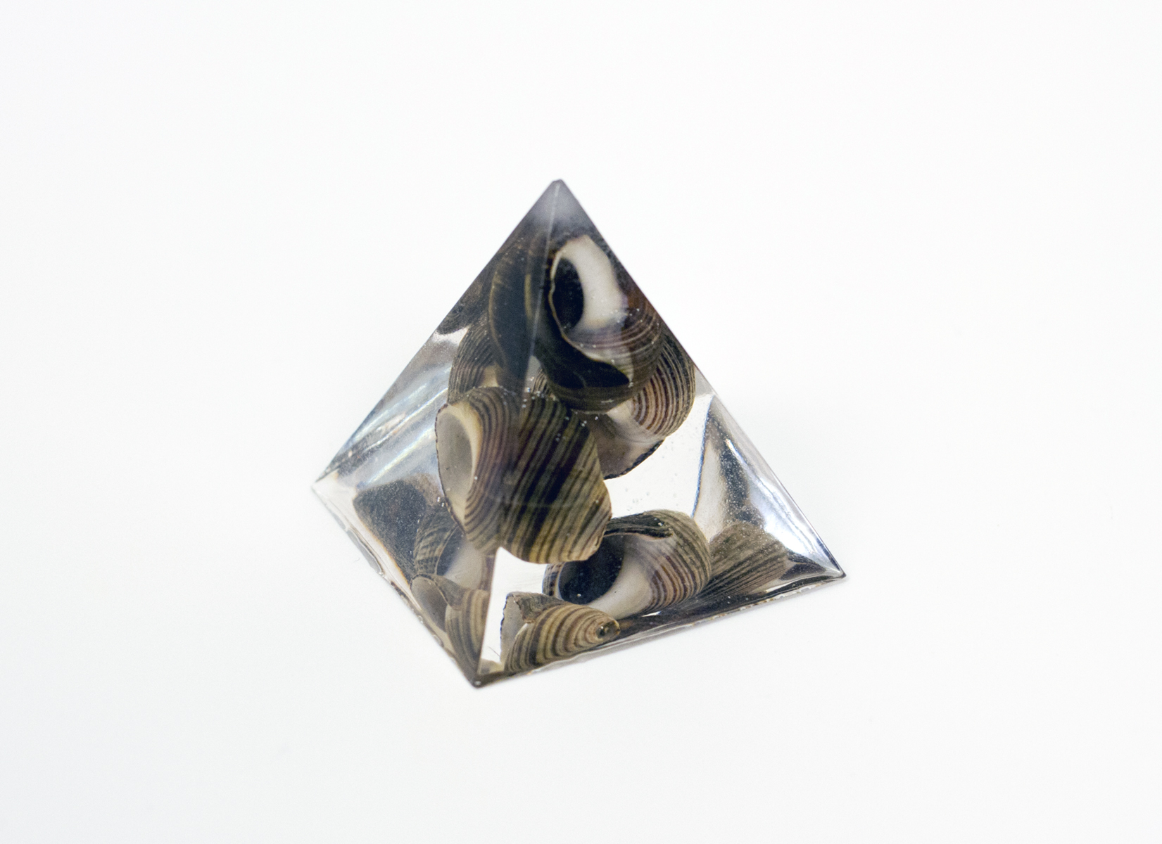 Liver Health (Common Periwinkle), 2019, 2"x2"x2". Common periwinkle shells, epoxy resin