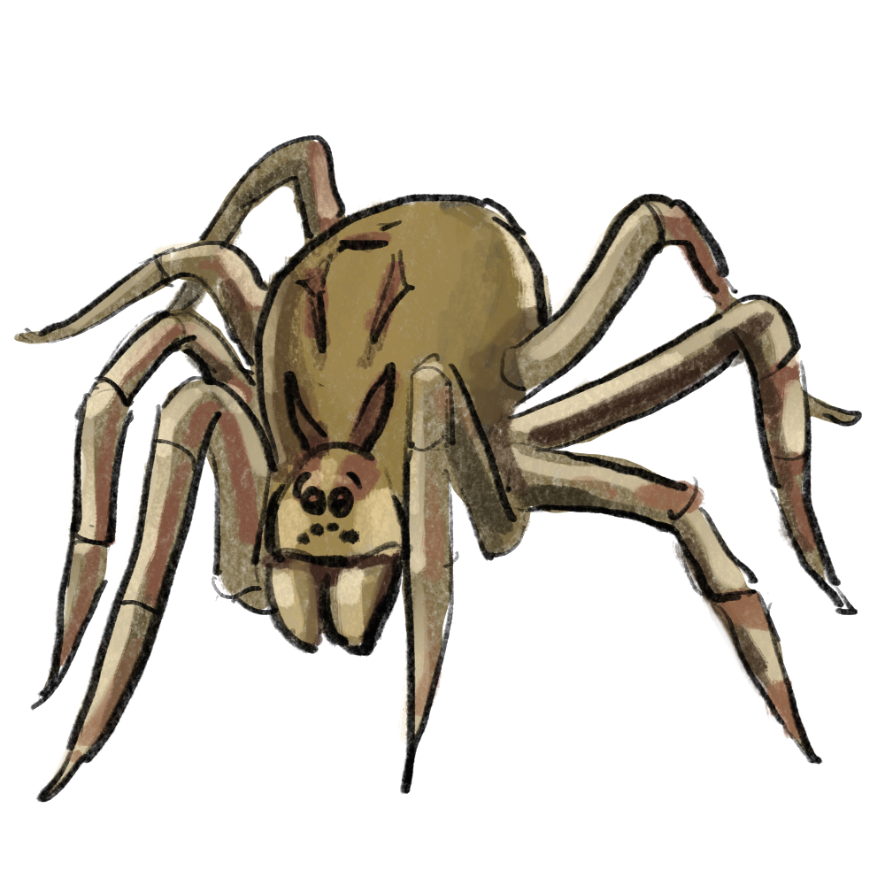 2D assets I contributed