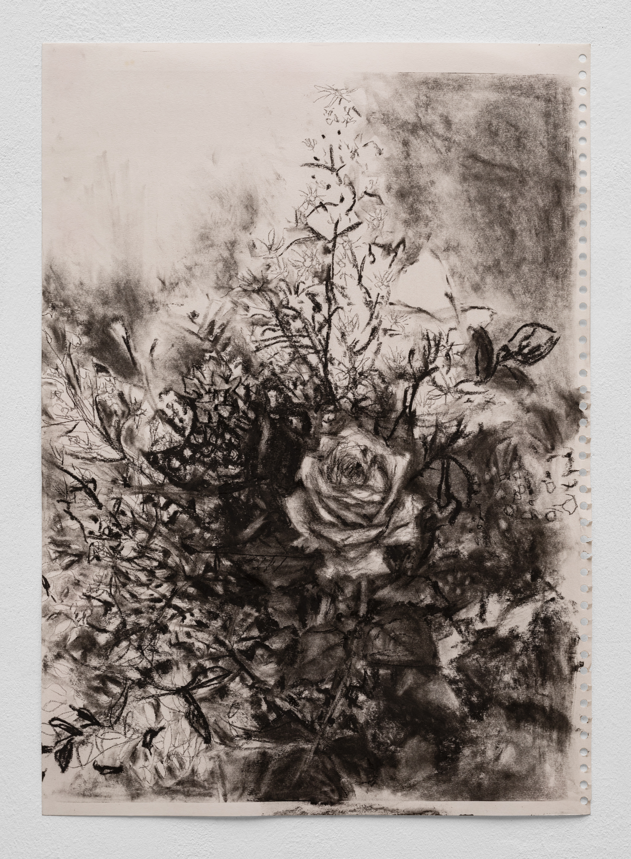 Sober Flowers seeking for Statistics #3, 2024 Charcoal on paper 21 x 29,7 cm. (Documentation: Fabrice Schneider)