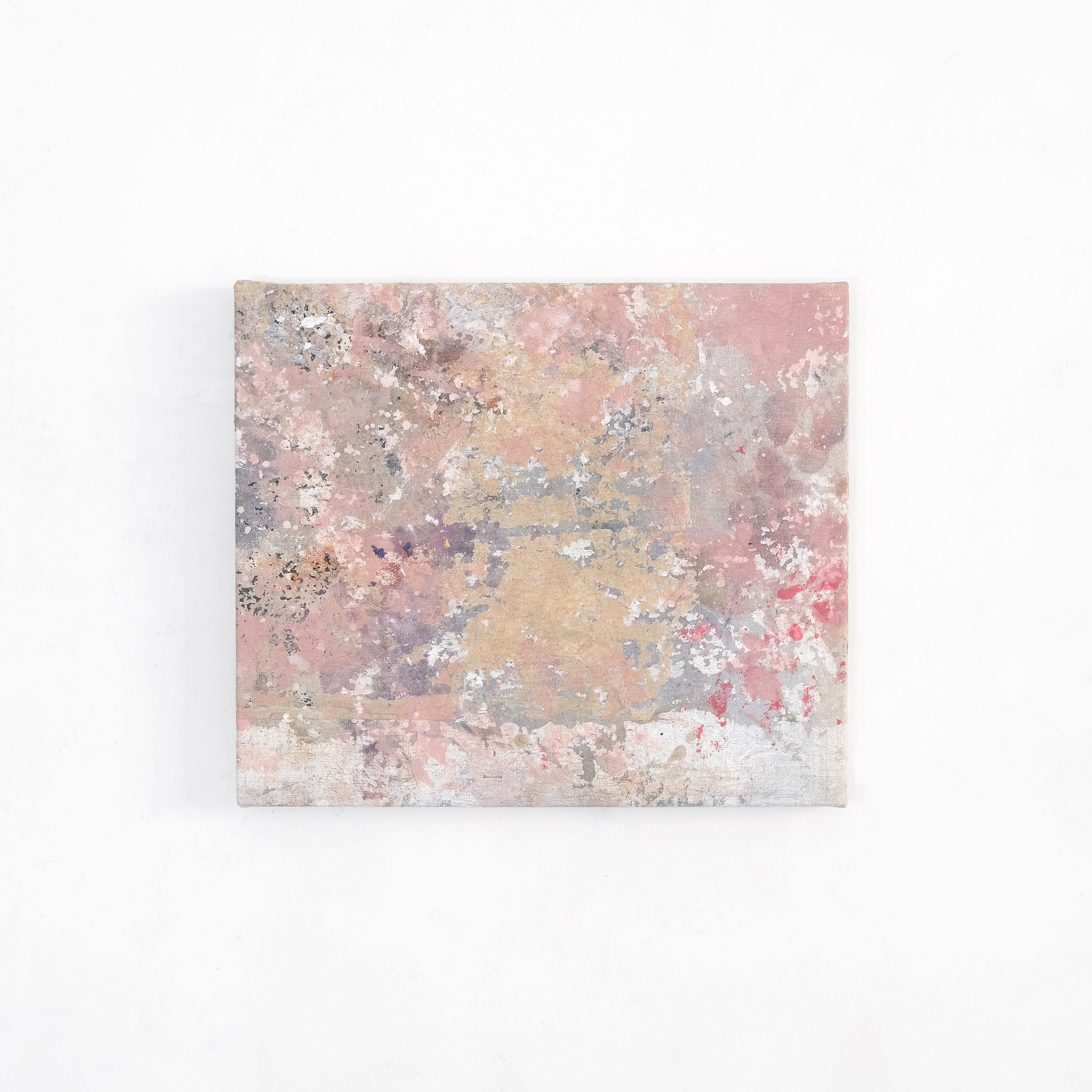 Hyper Relic, 30 x 35 cm