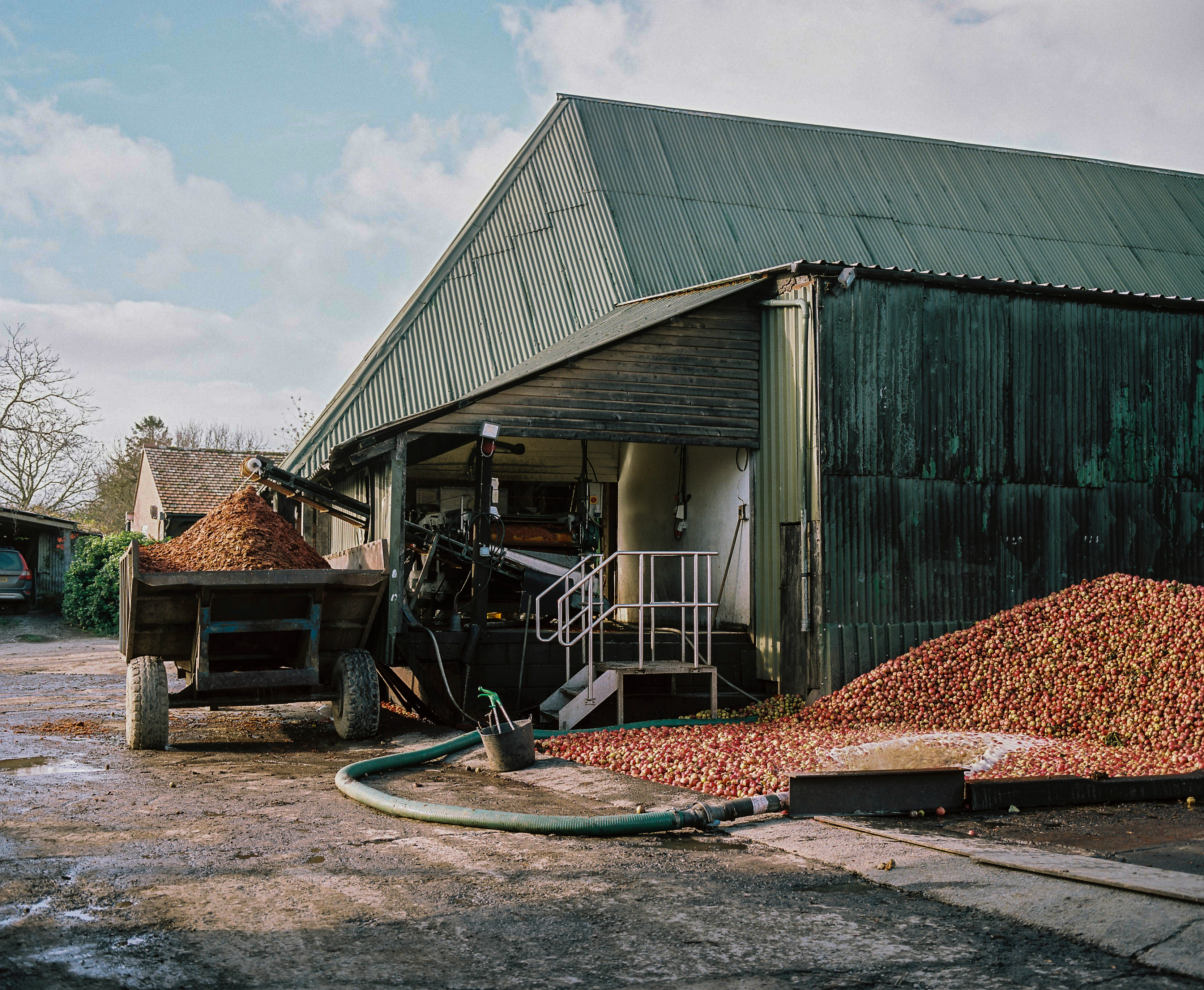Burrow Hill Cider Farm