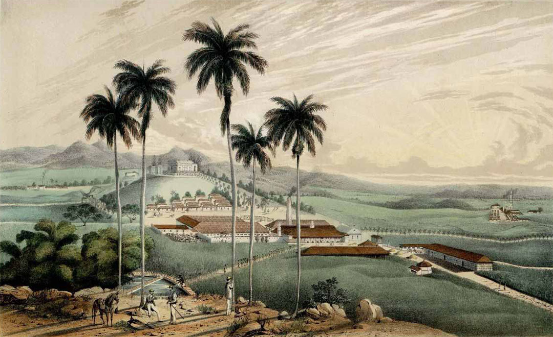 Eduardo Laplante, Ingenio Buena Vista, Cuba, 1857