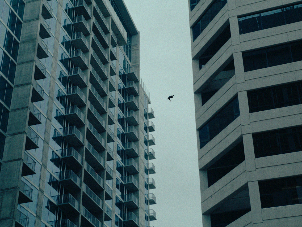 ︎︎︎ MWPR 'The Madness' (2023)