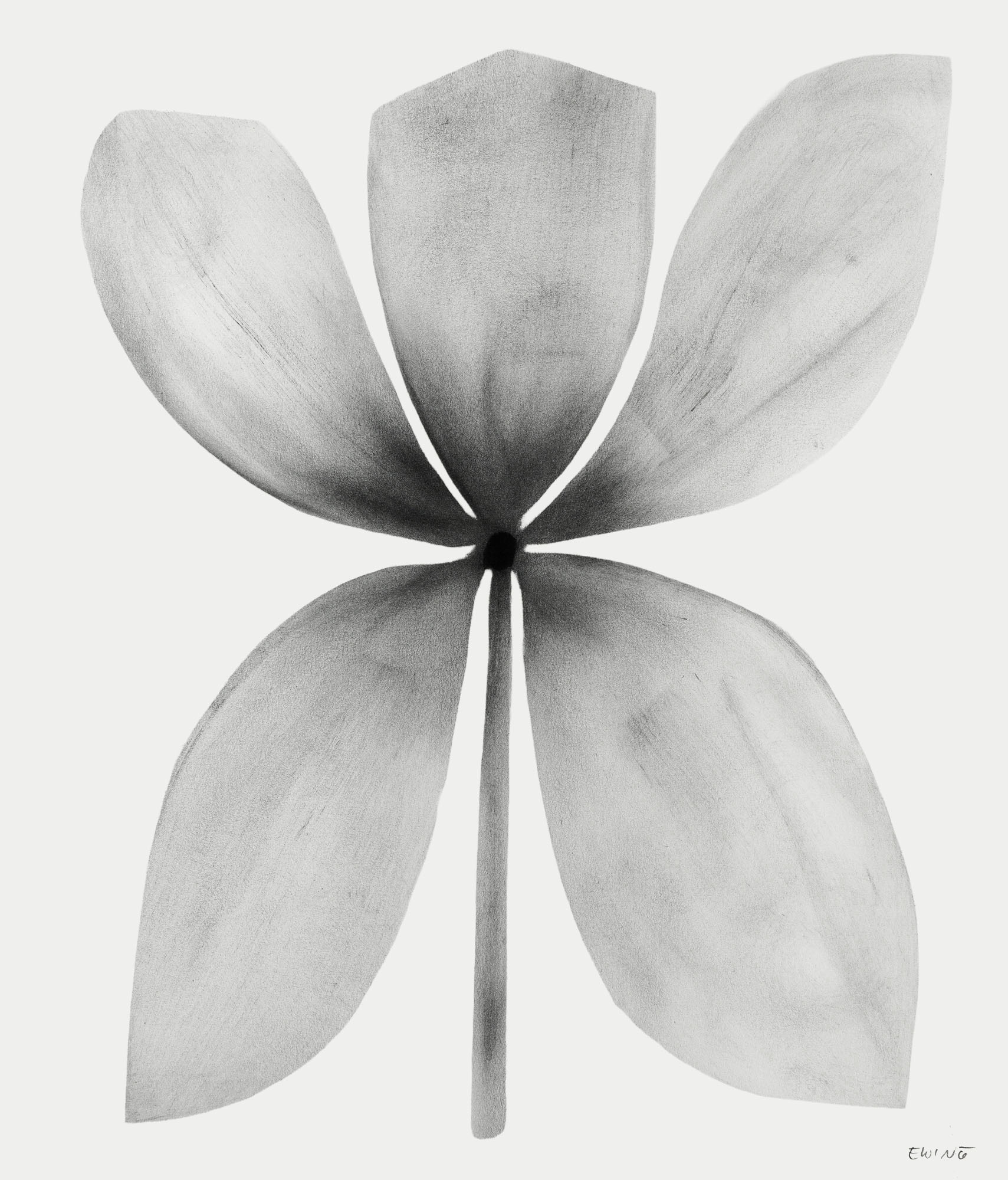 Floral Drawings № 40 — 49