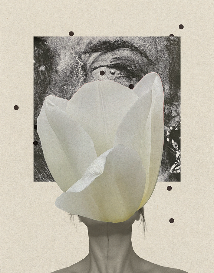 239. through the greyscale looking glass 27.04.25