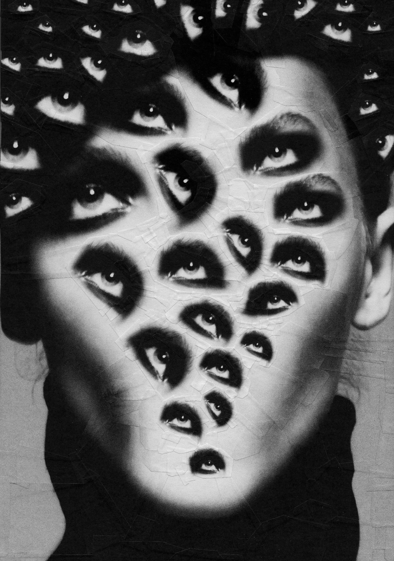 Onopka after Meisel, 2015, 8.2 x 11.6 inches