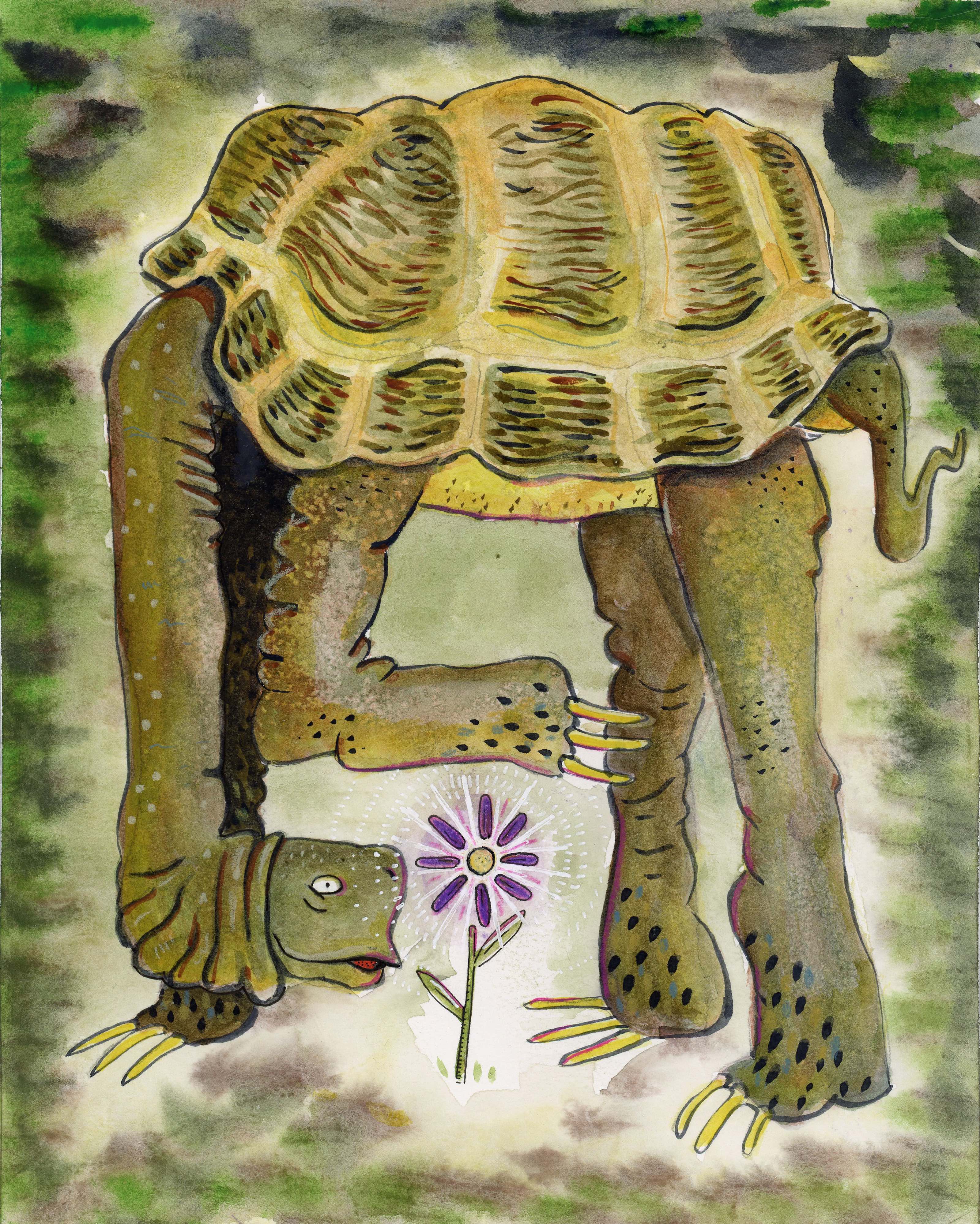 flower 2024 watercolor and colored pencil