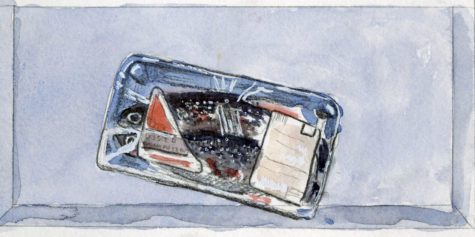 fresh fish from fish book 2019 watercolor