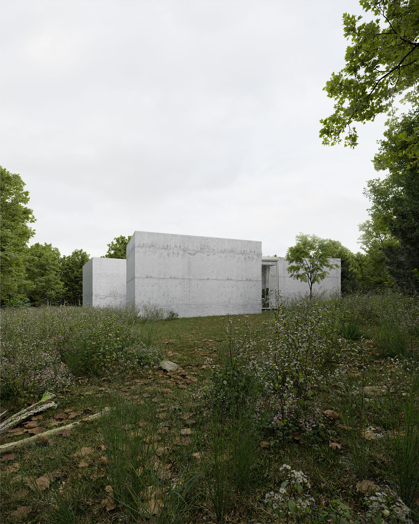 dům v sadu | malý chmel | 2023