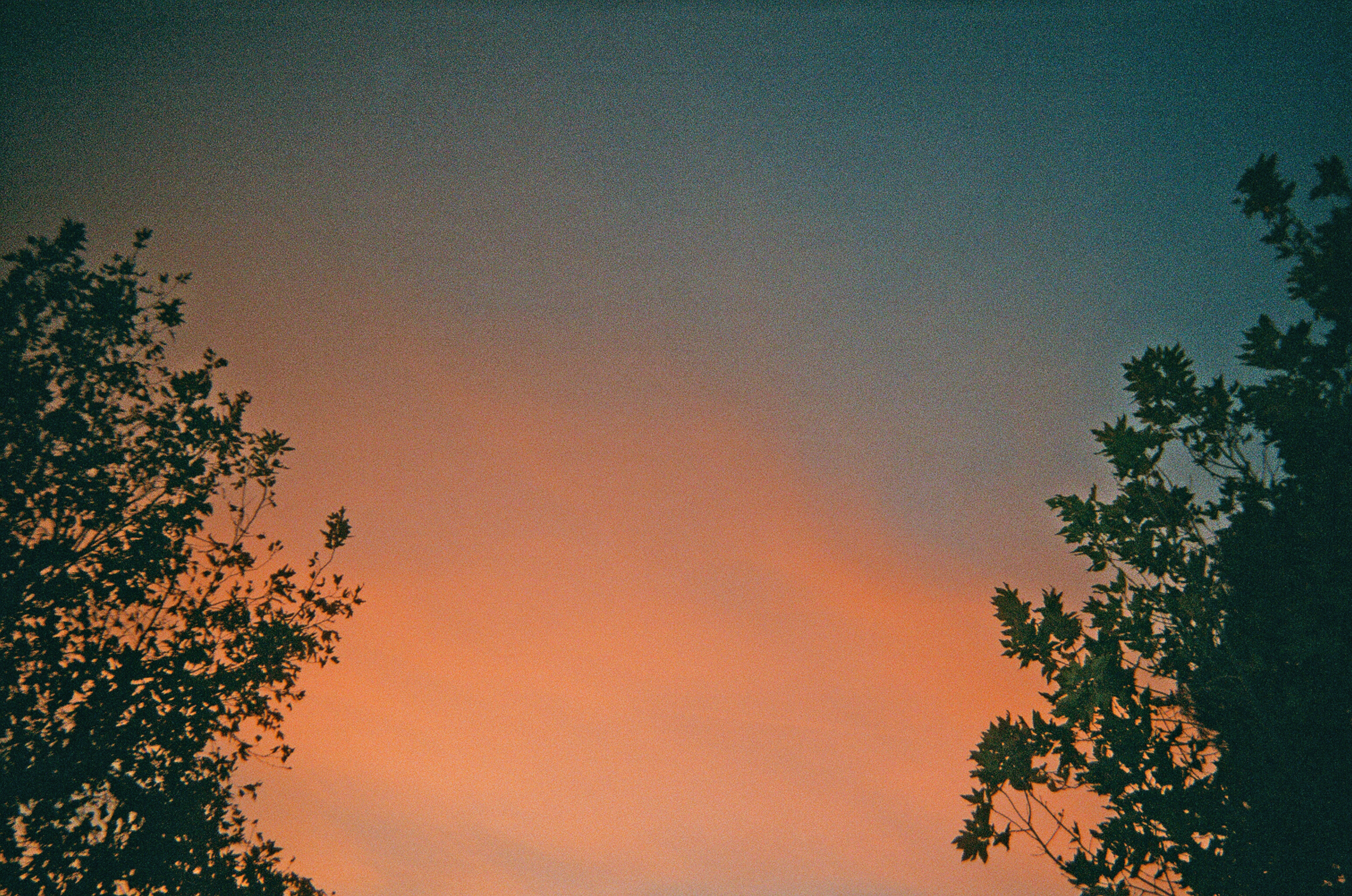 Life is Beautiful, Los Angeles, CA, 2016