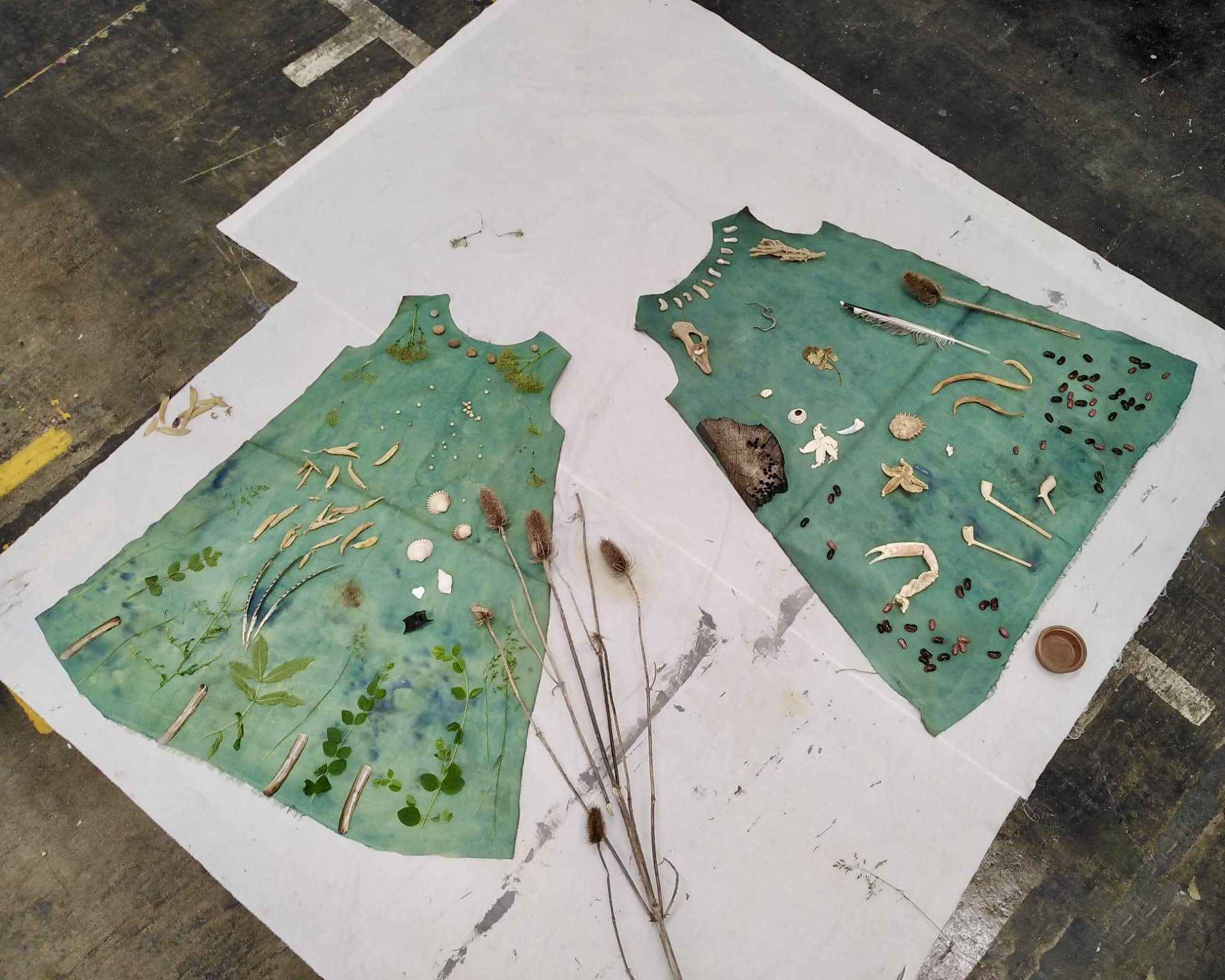 > Animal, Vegetable, Mineral [2021]