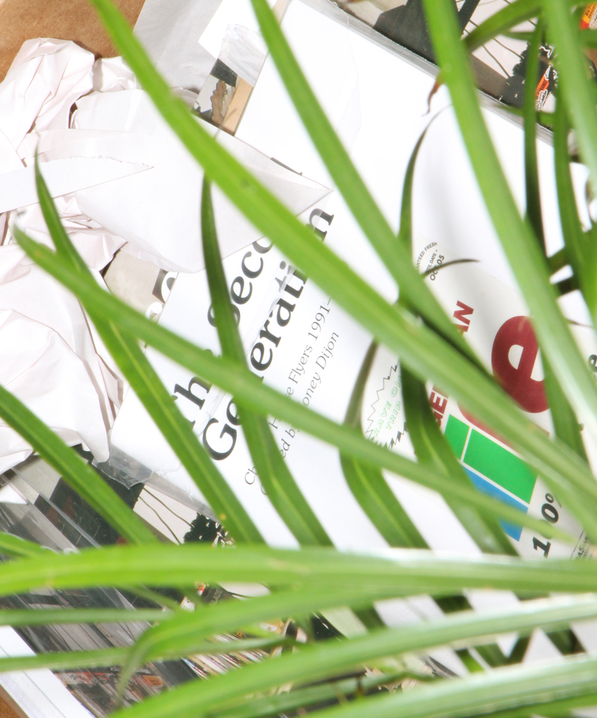 Magazines in box with palm plant out of focus in foreground