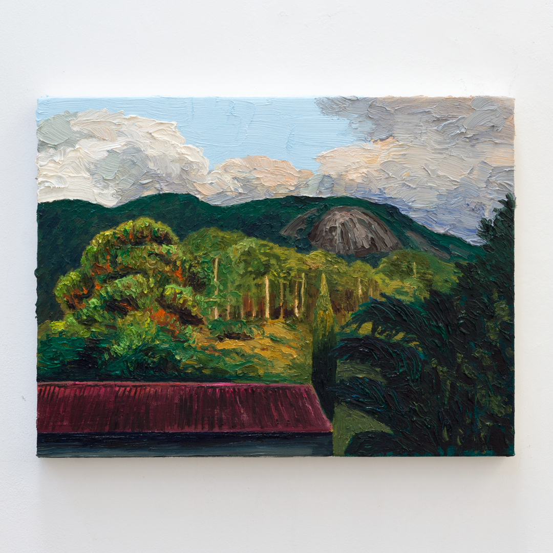 Pedra, 2024&oacute;leo sobre tela30 x 40 cm