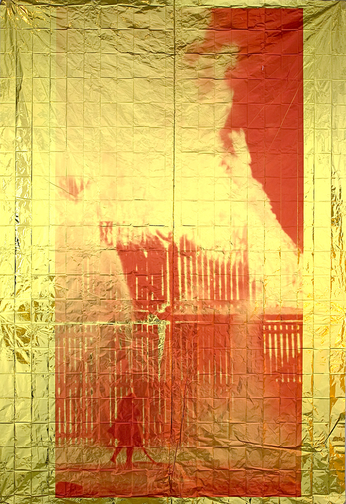 Aguirre's Daughter, 2013, digital print on emergency blanket, 87x59in