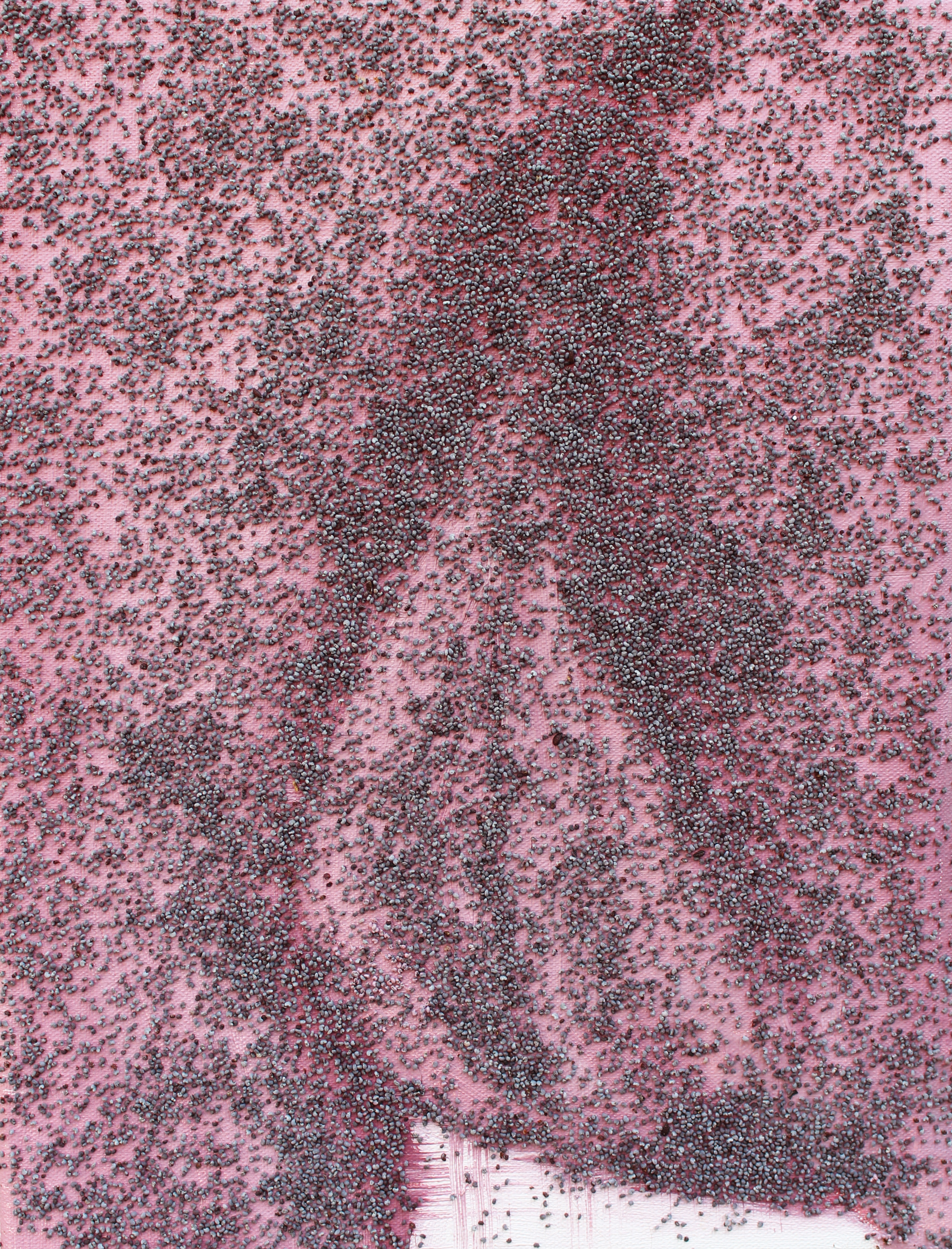 Vulva poppy, Oil on canvas, poppy, 24x18 cm, 2019