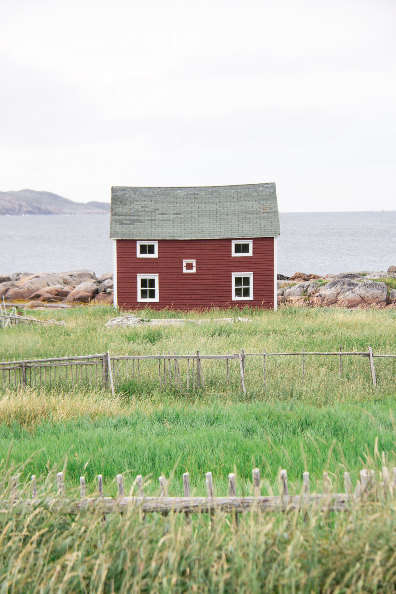 FOGO ISALND / PORTRAIT 