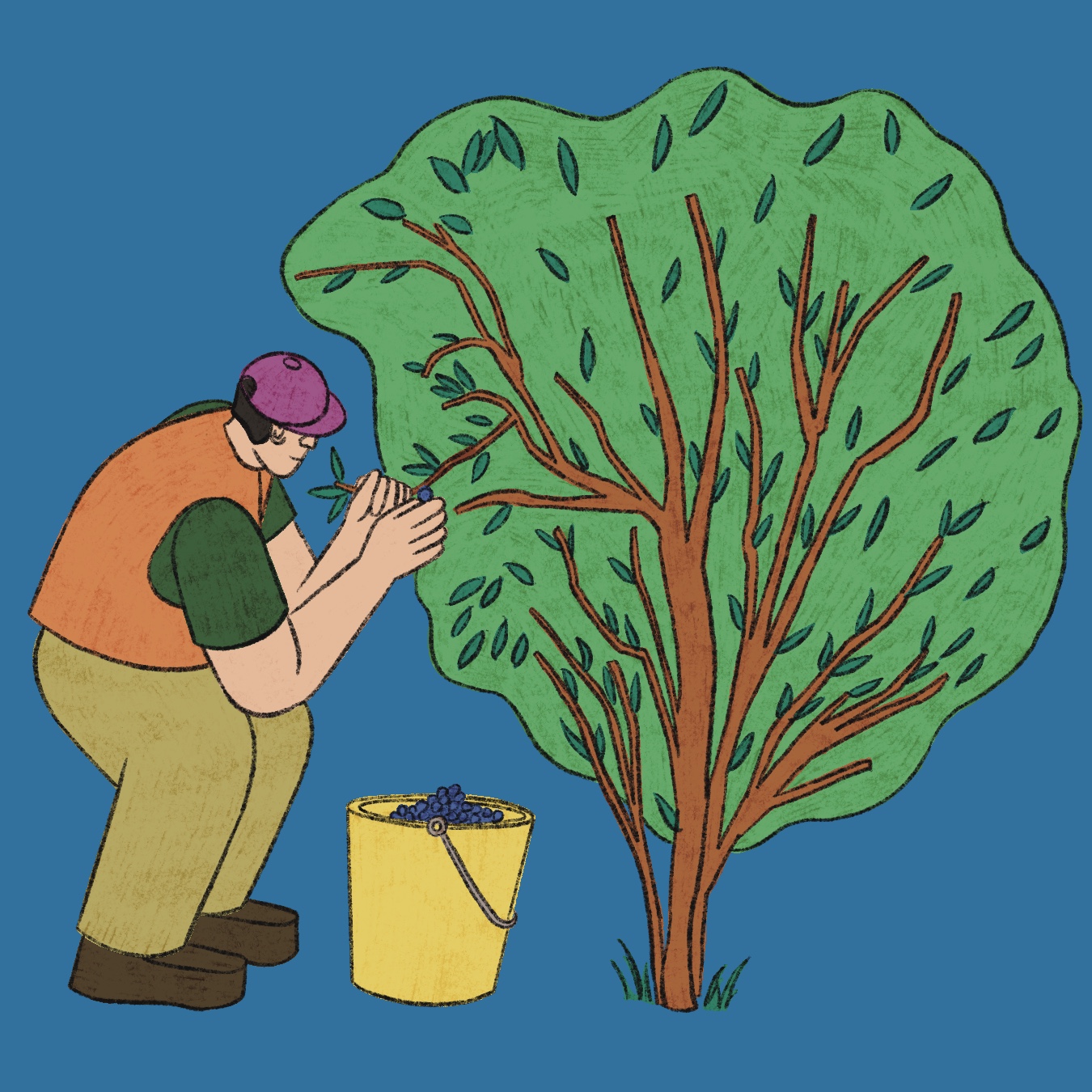 der Freitag, Editorial